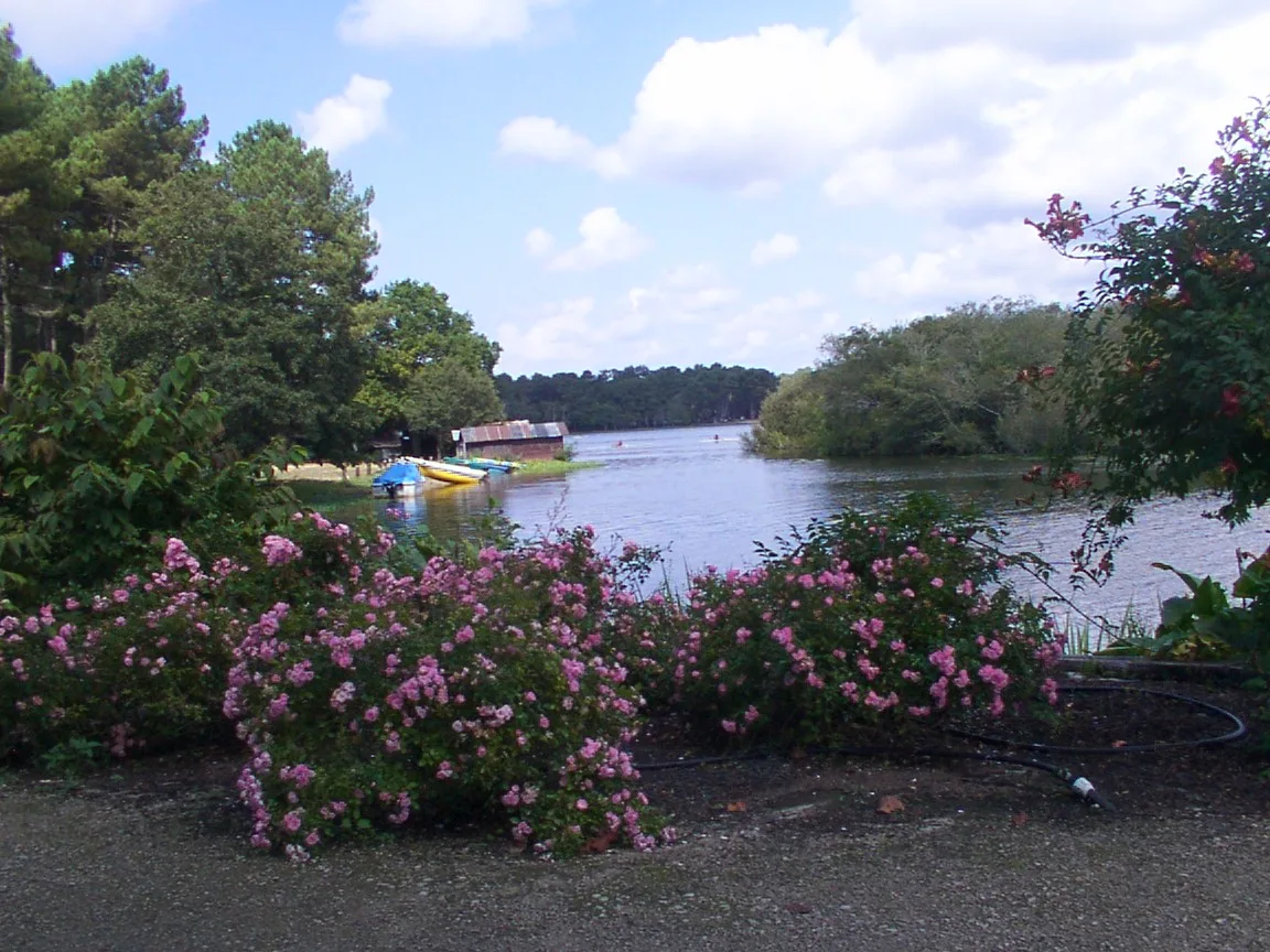 Etang d'Aureilhan à Aureilhan — À 1,8 km du lac