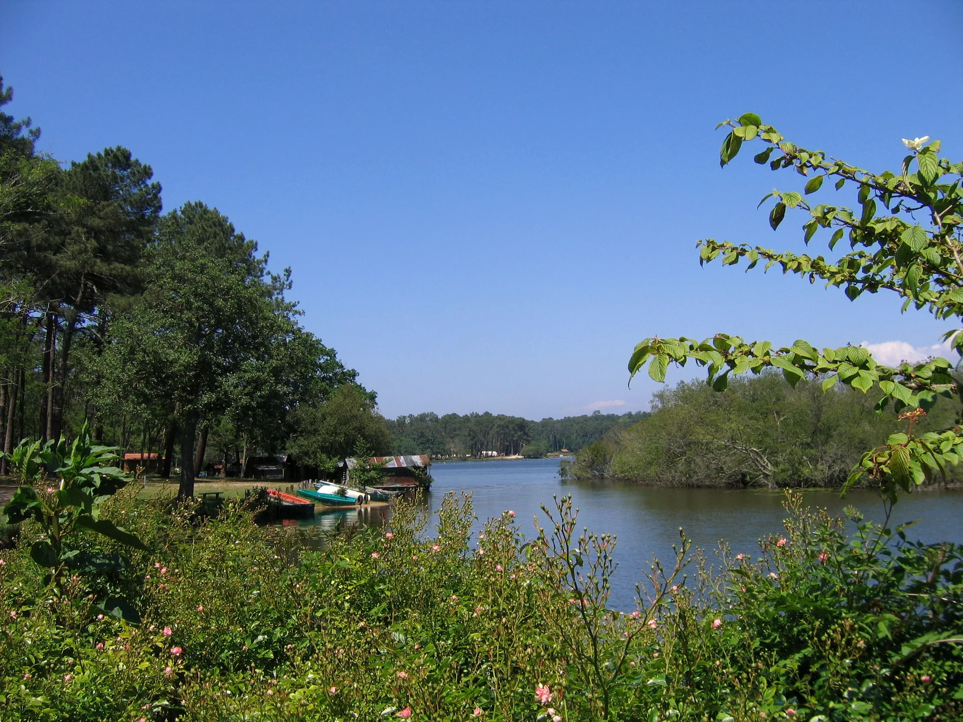 Etang d'Aureilhan à Aureilhan — À 1,8 km du lac