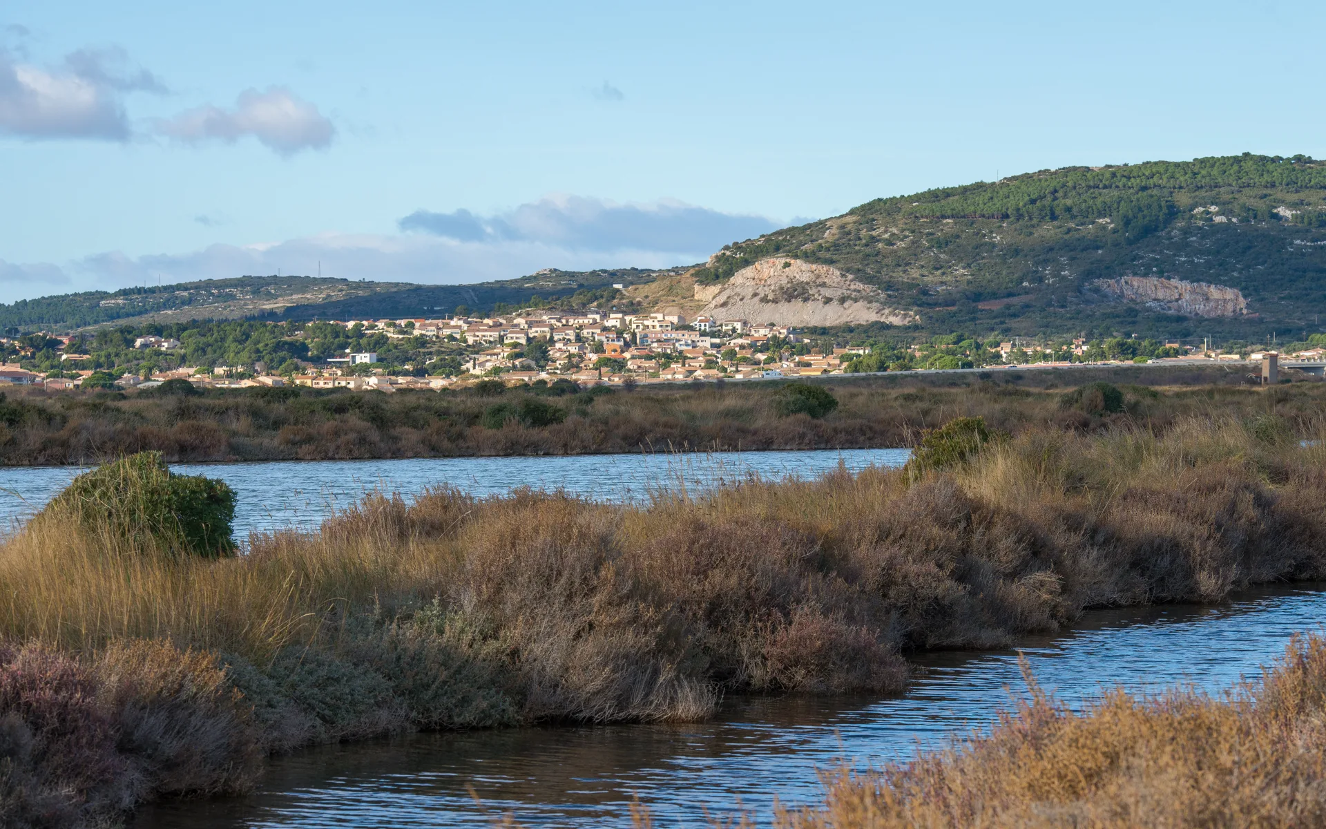 Etang d'Ingril à Frontignan — À 251 m du lac