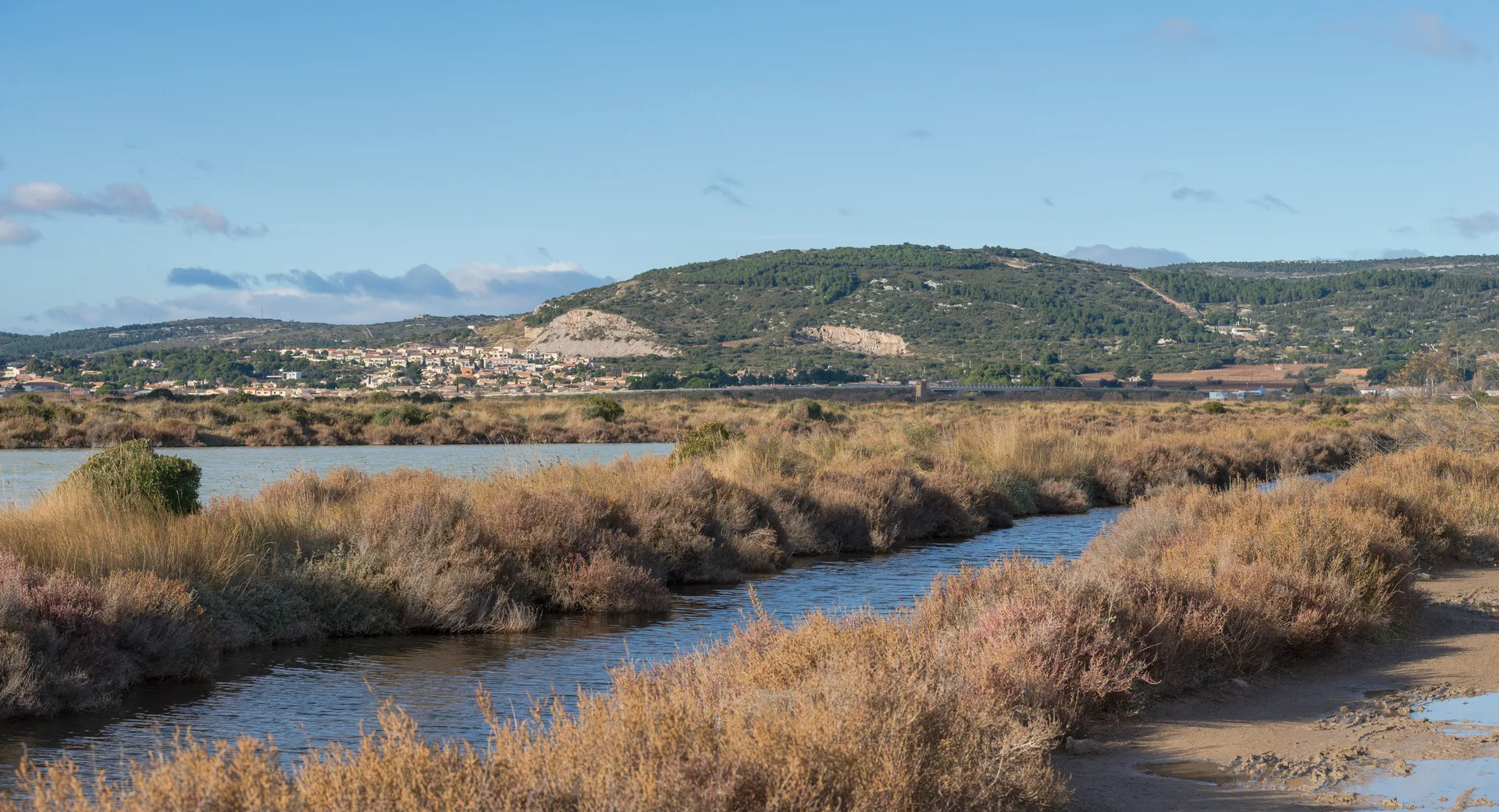 Etang d'Ingril à Frontignan — À 251 m du lac