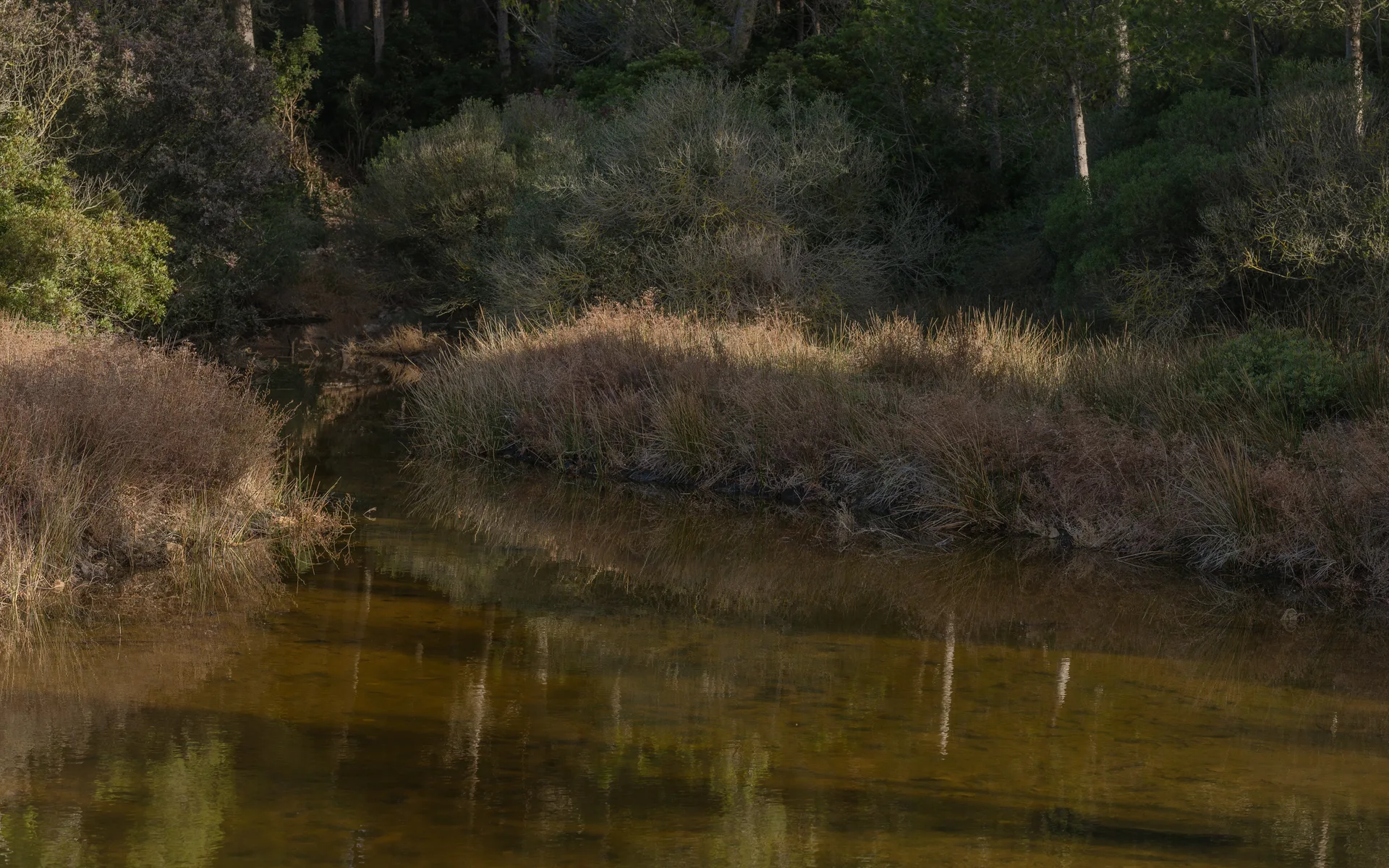 Etang d'Ingril à Frontignan — À 490 m du lac
