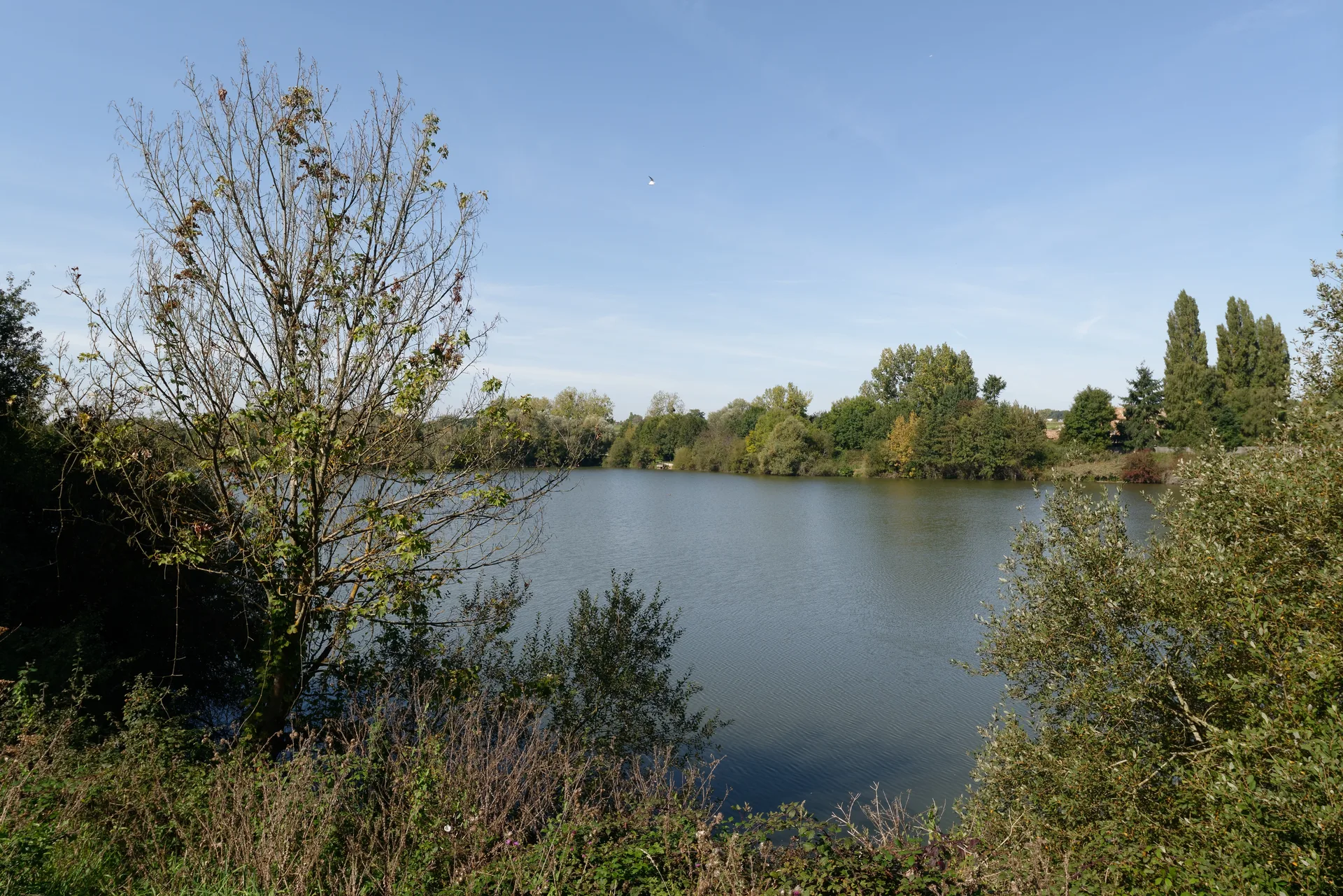 Etang d'Ollainville à Bruyères-le-Châtel — Sur le lac