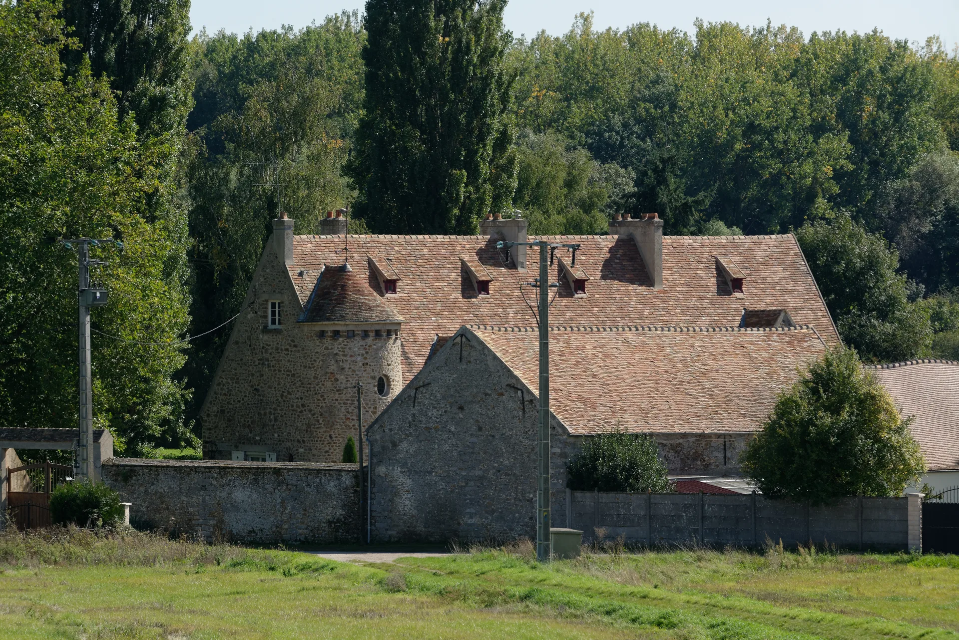 Etang d'Ollainville à Bruyères-le-Châtel — À 558 m du lac