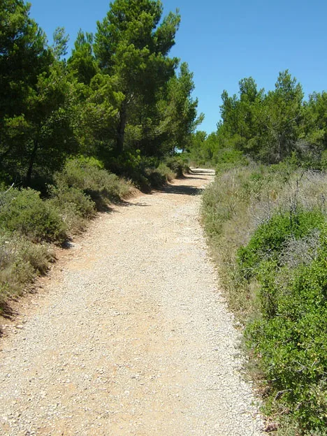 Étang de Bages-Sigean à Gruissan — À 1,3 km du lac