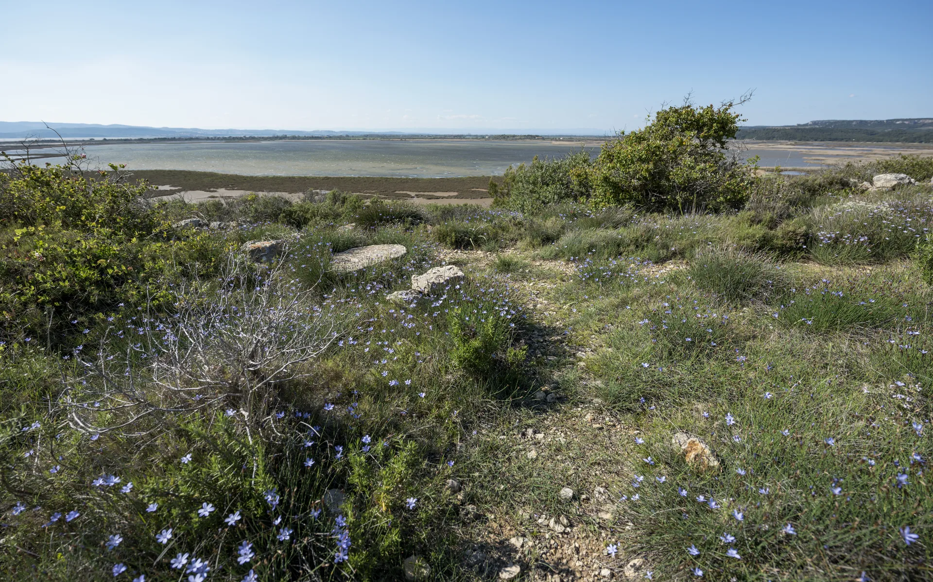 Étang de Bages-Sigean à Gruissan — À 1,5 km du lac