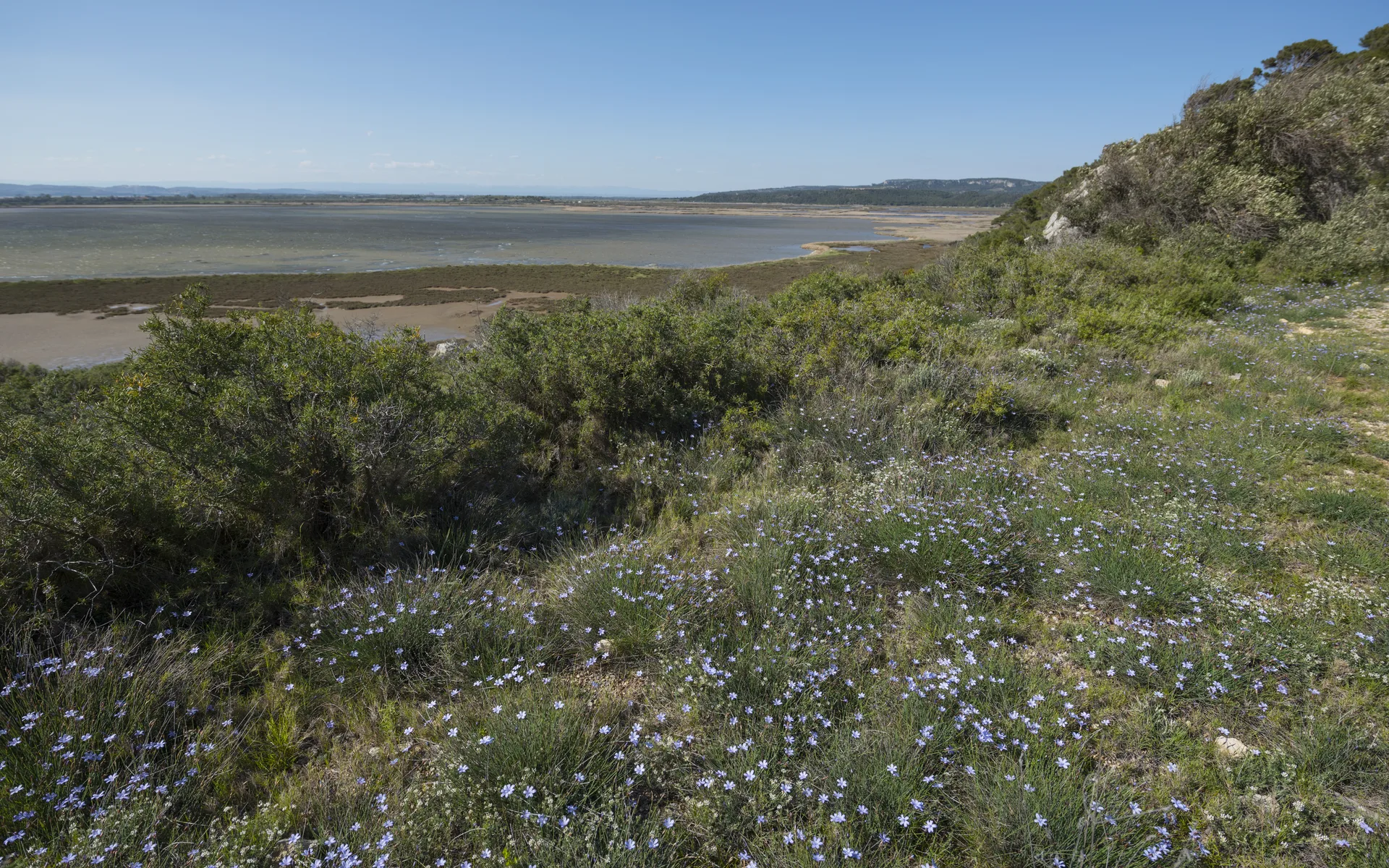 Étang de Bages-Sigean à Gruissan — À 1,5 km du lac