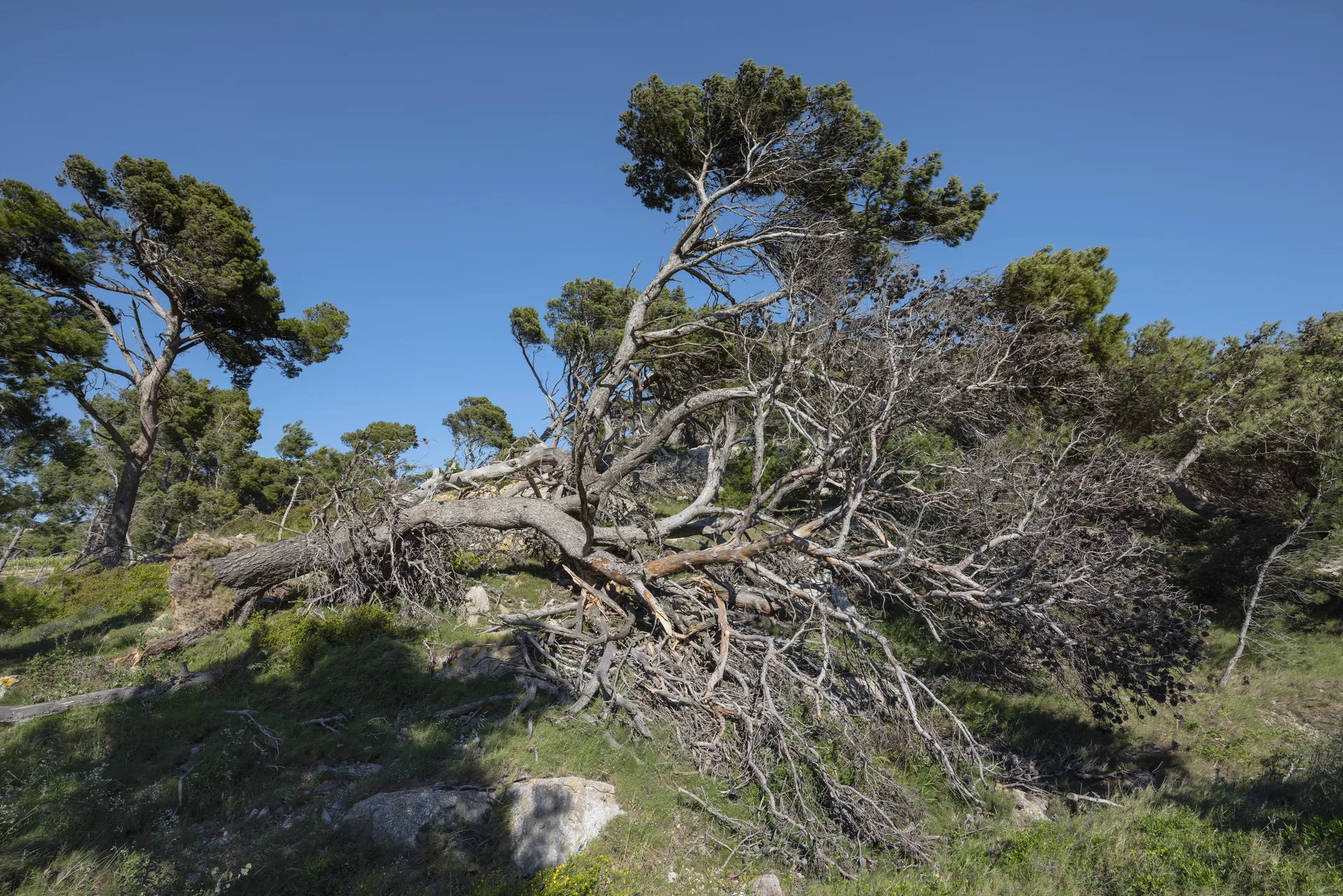 Étang de Bages-Sigean à Gruissan — À 1,6 km du lac