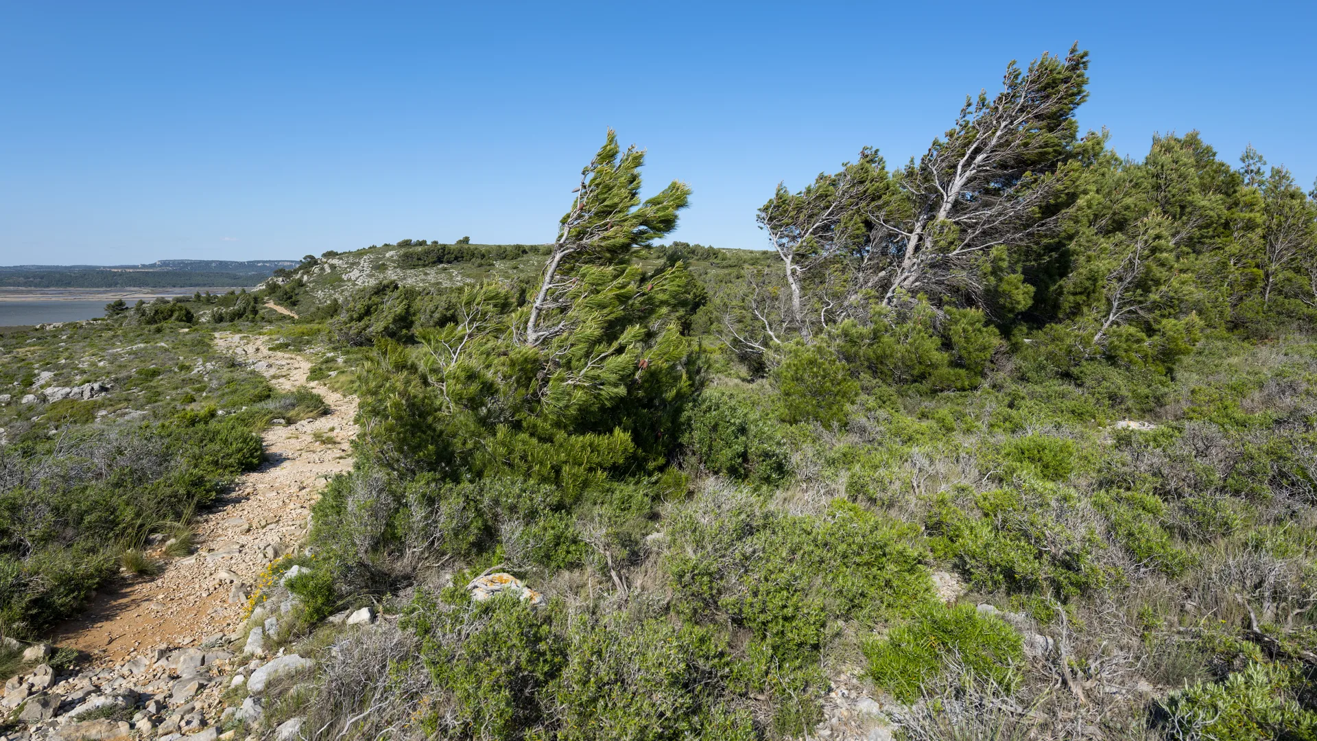 Étang de Bages-Sigean à Gruissan — À 1,6 km du lac