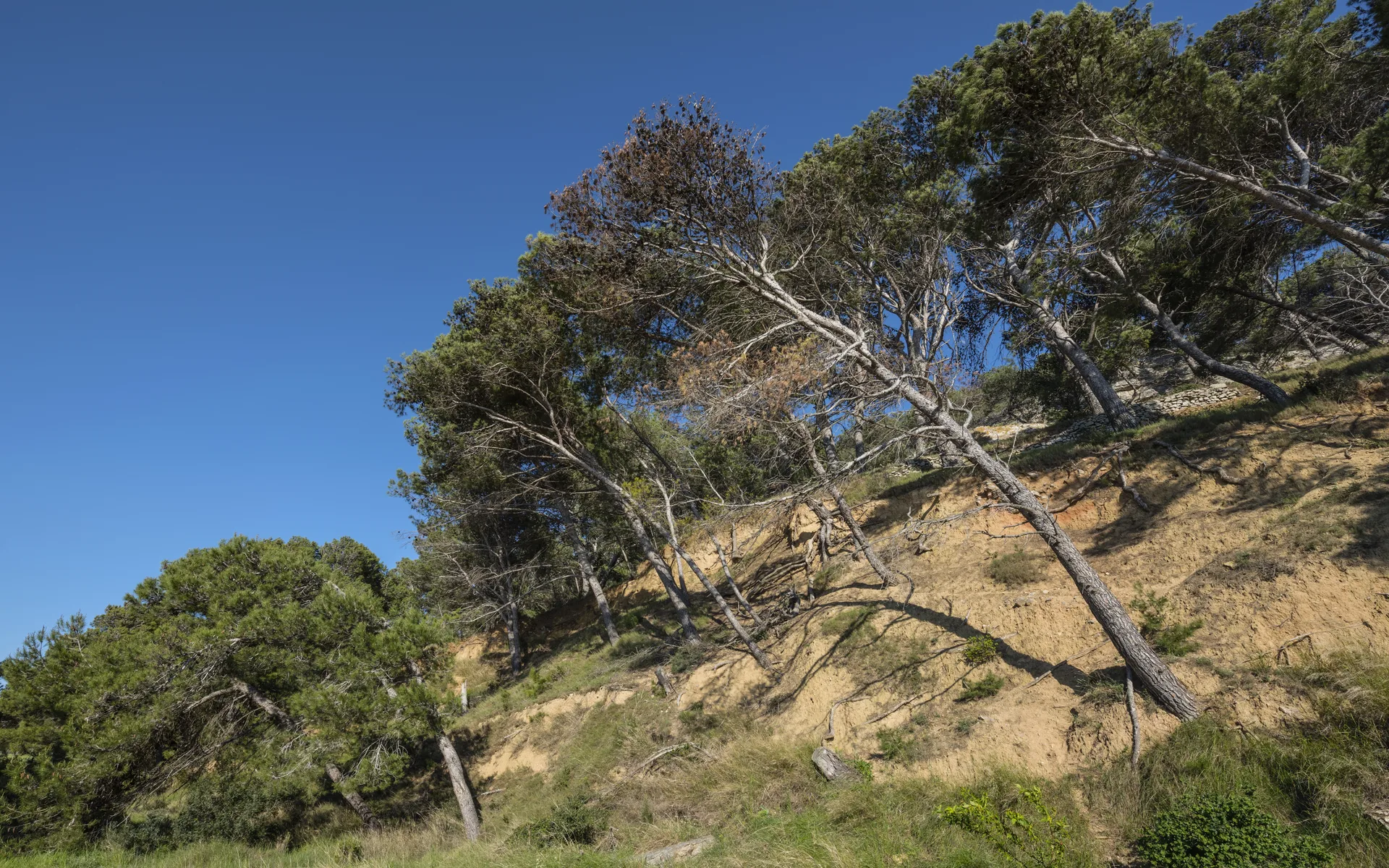 Étang de Bages-Sigean à Gruissan — À 2,1 km du lac