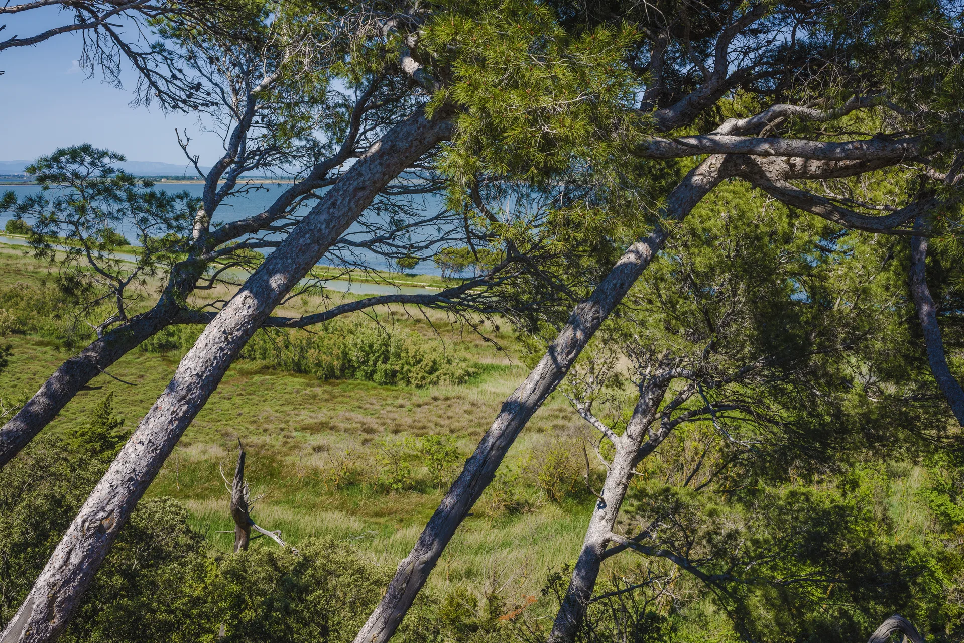 Étang de Bages-Sigean à Gruissan — À 2,5 km du lac