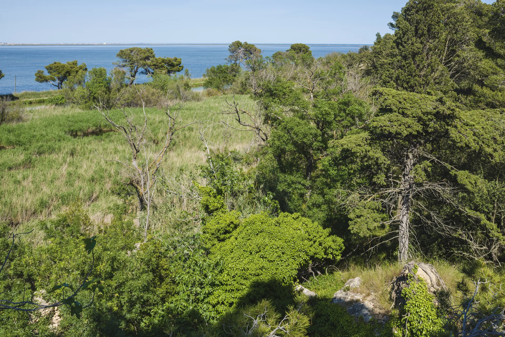 Étang de Bages-Sigean à Gruissan — À 2,6 km du lac