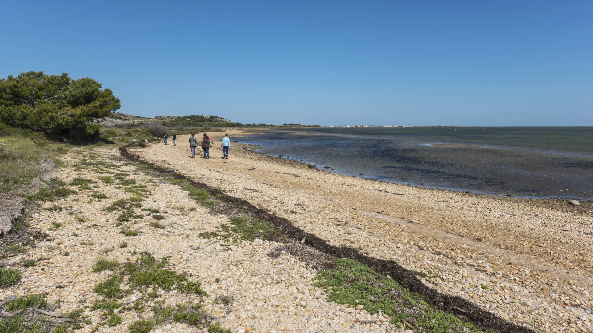 Étang de Bages-Sigean à Gruissan — À 763 m du lac