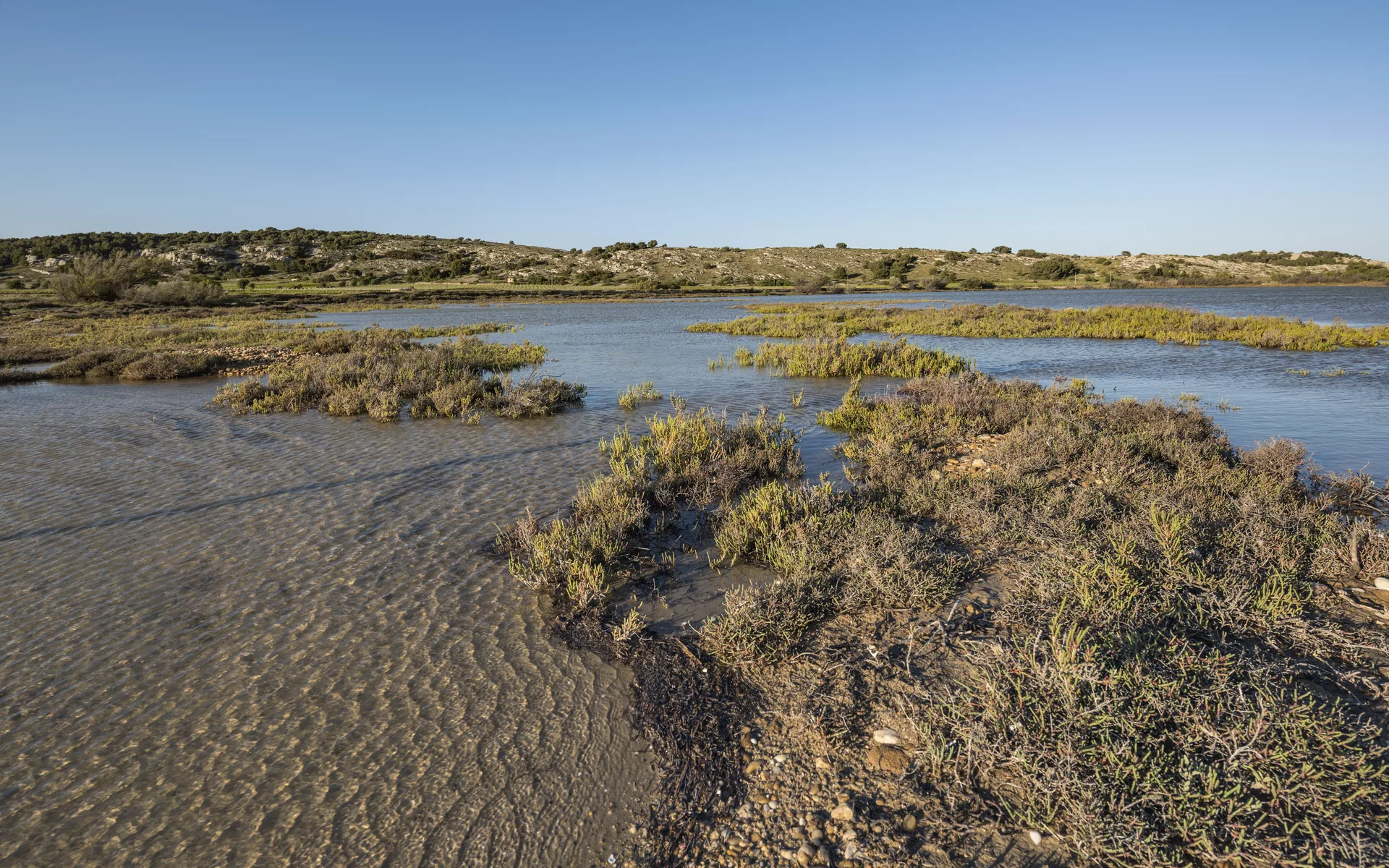 Étang de Bages-Sigean à Gruissan — À 1,0 km du lac