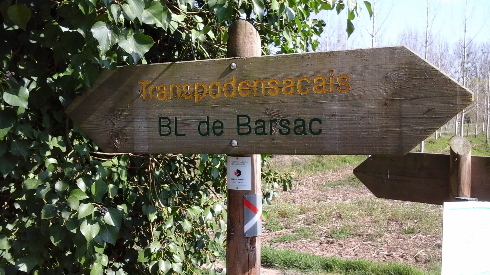 Etang de Barsac à Barsac — À 535 m du lac