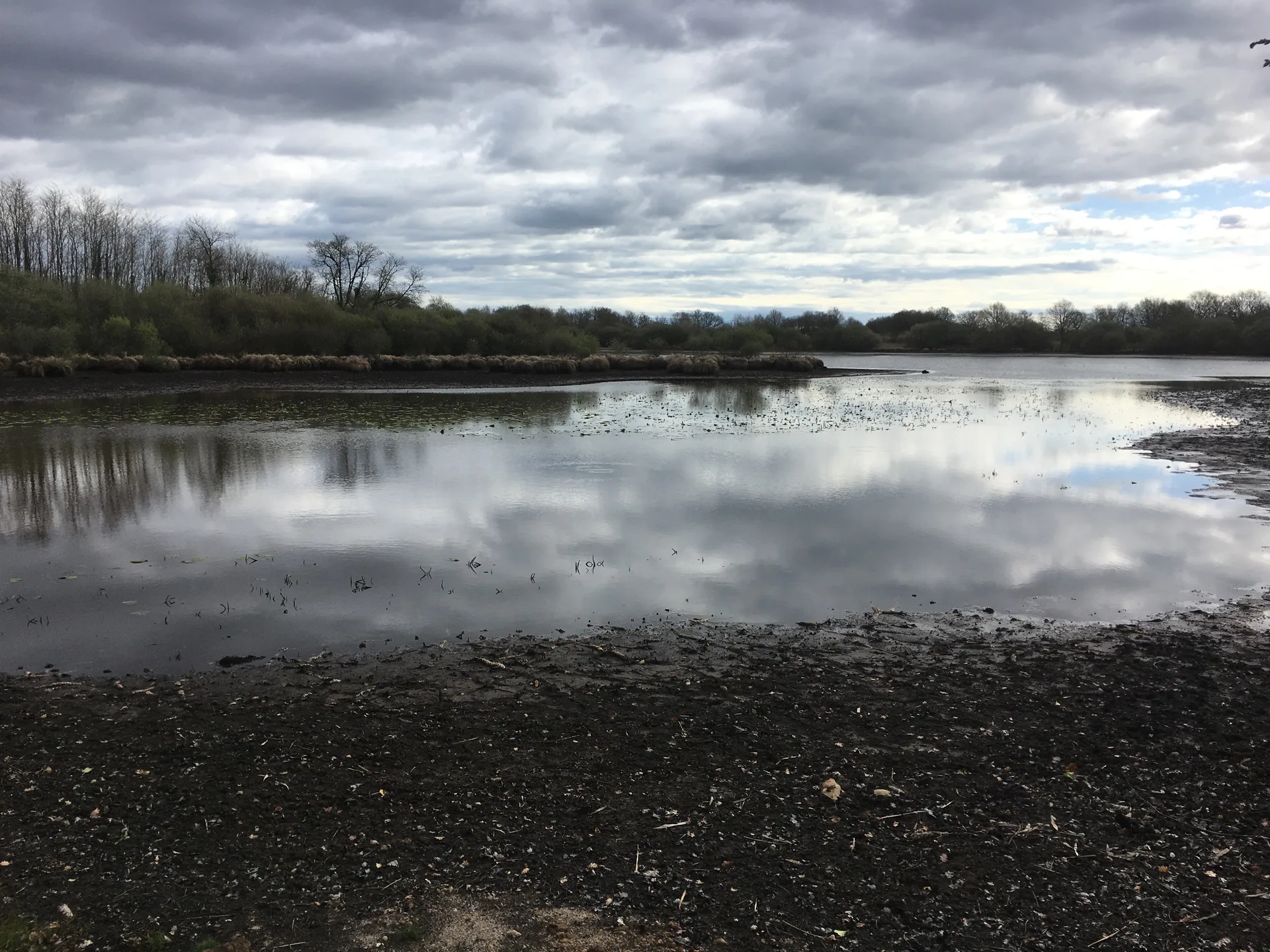 Etang de Beaugu à Migné — À 2,2 km du lac