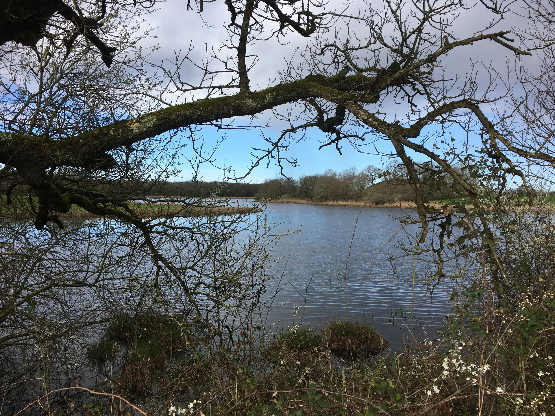 Etang de Beaugu à Migné — À 2,2 km du lac