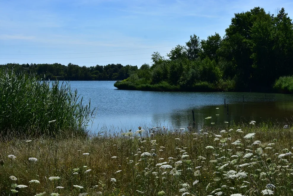 Etang de Bel air à Blanzy — À 4,1 km du lac