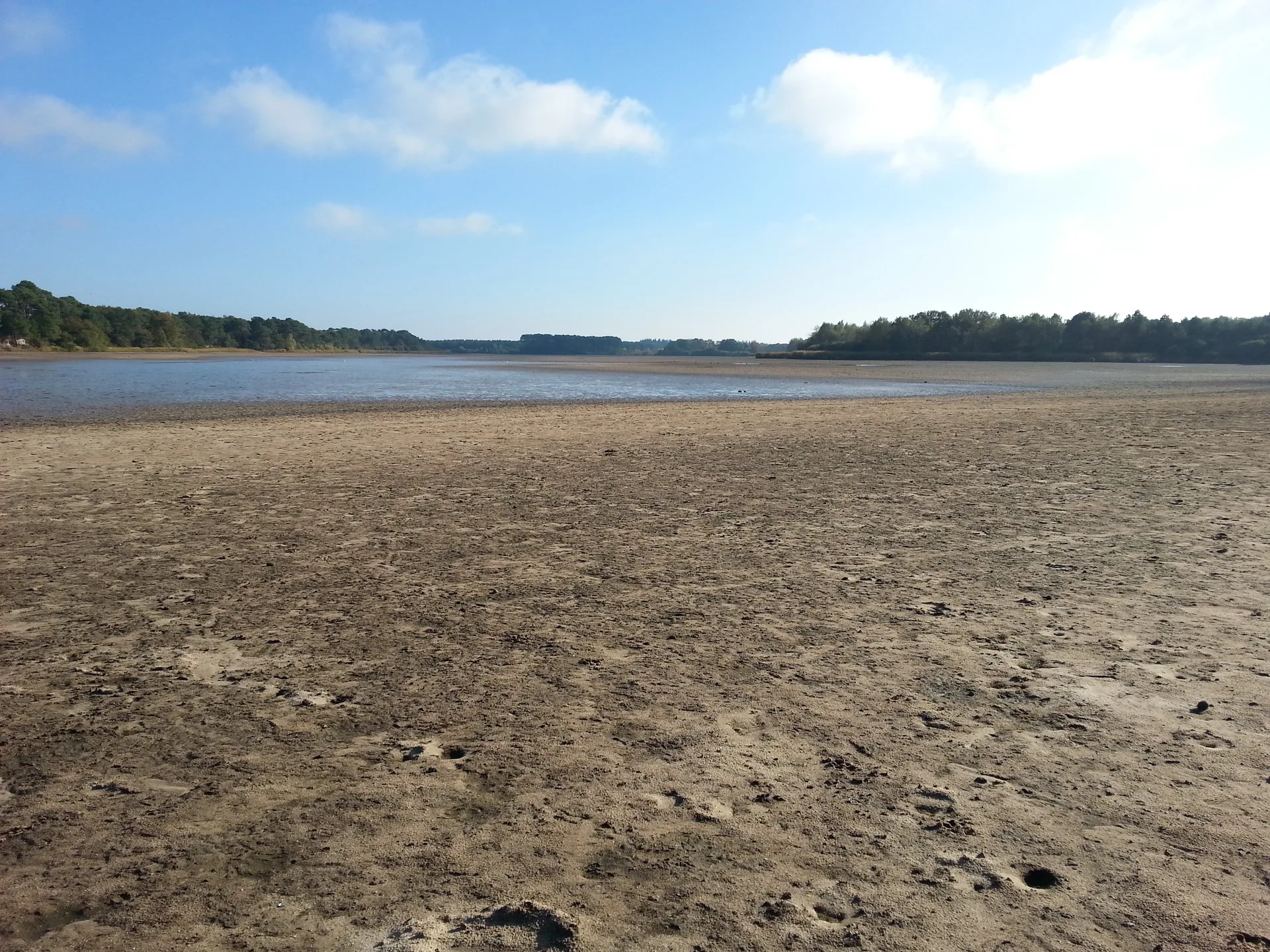 Etang de Bellebouche à Mézières-en-Brenne — Sur le lac