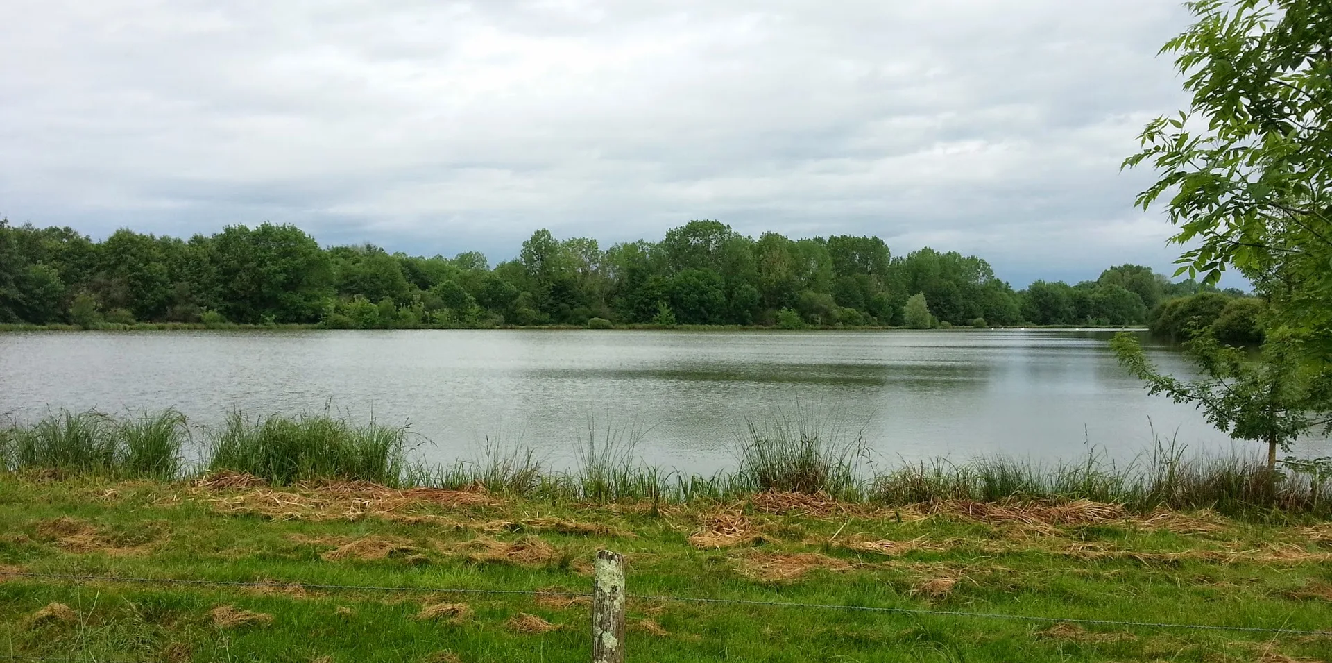 Etang de Bellebouche à Mézières-en-Brenne — À 2,0 km du lac
