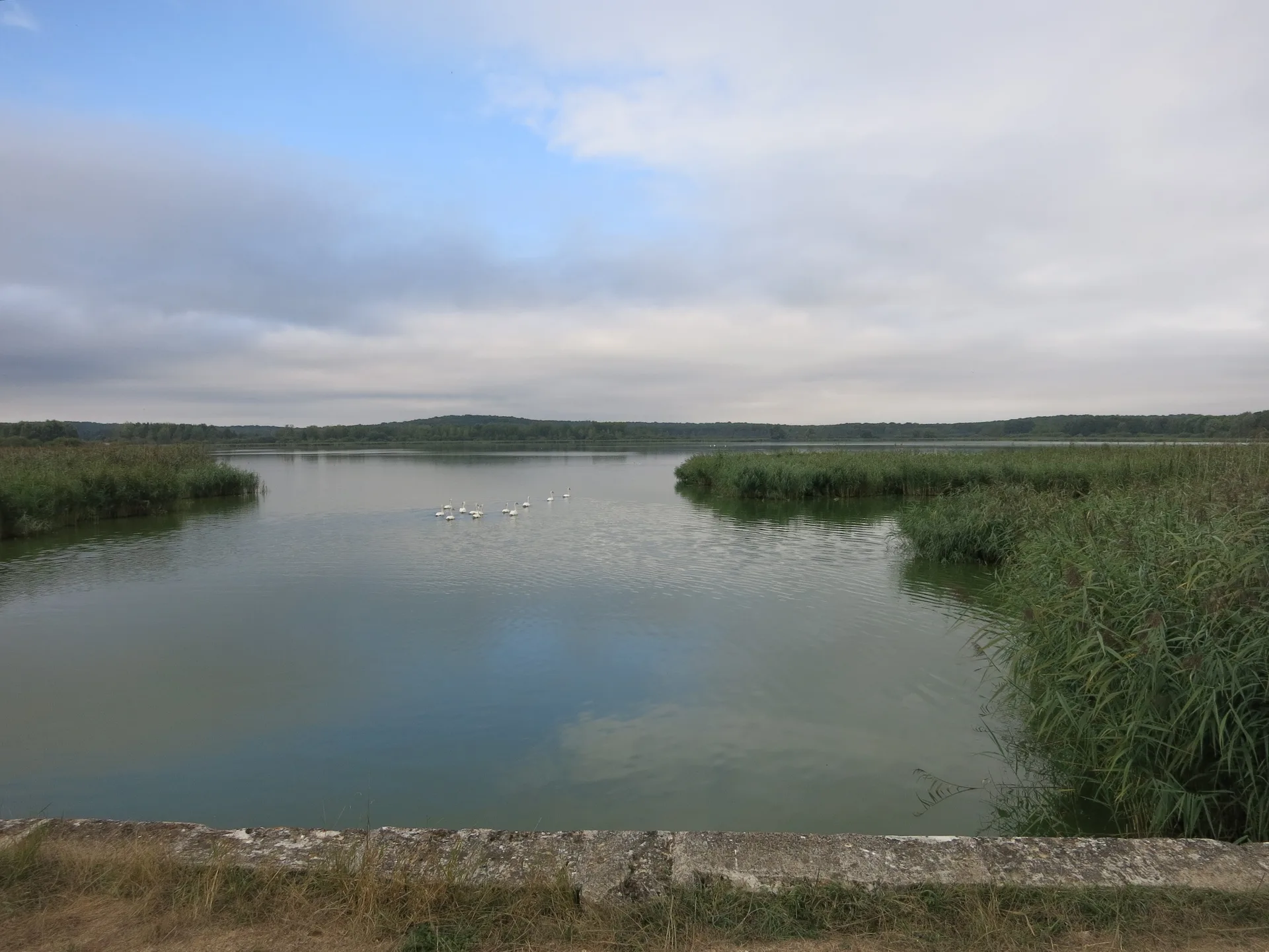Etang de Belval à Lisle-en-Barrois — À 3,2 km du lac