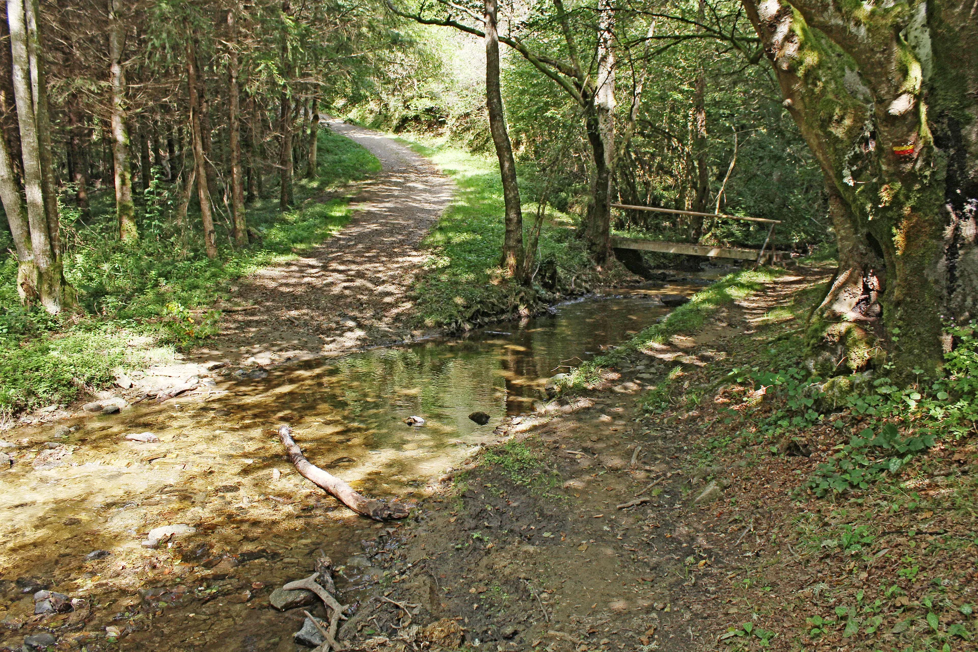 Etang de Berbezit à Berbezit — À 4,1 km du lac