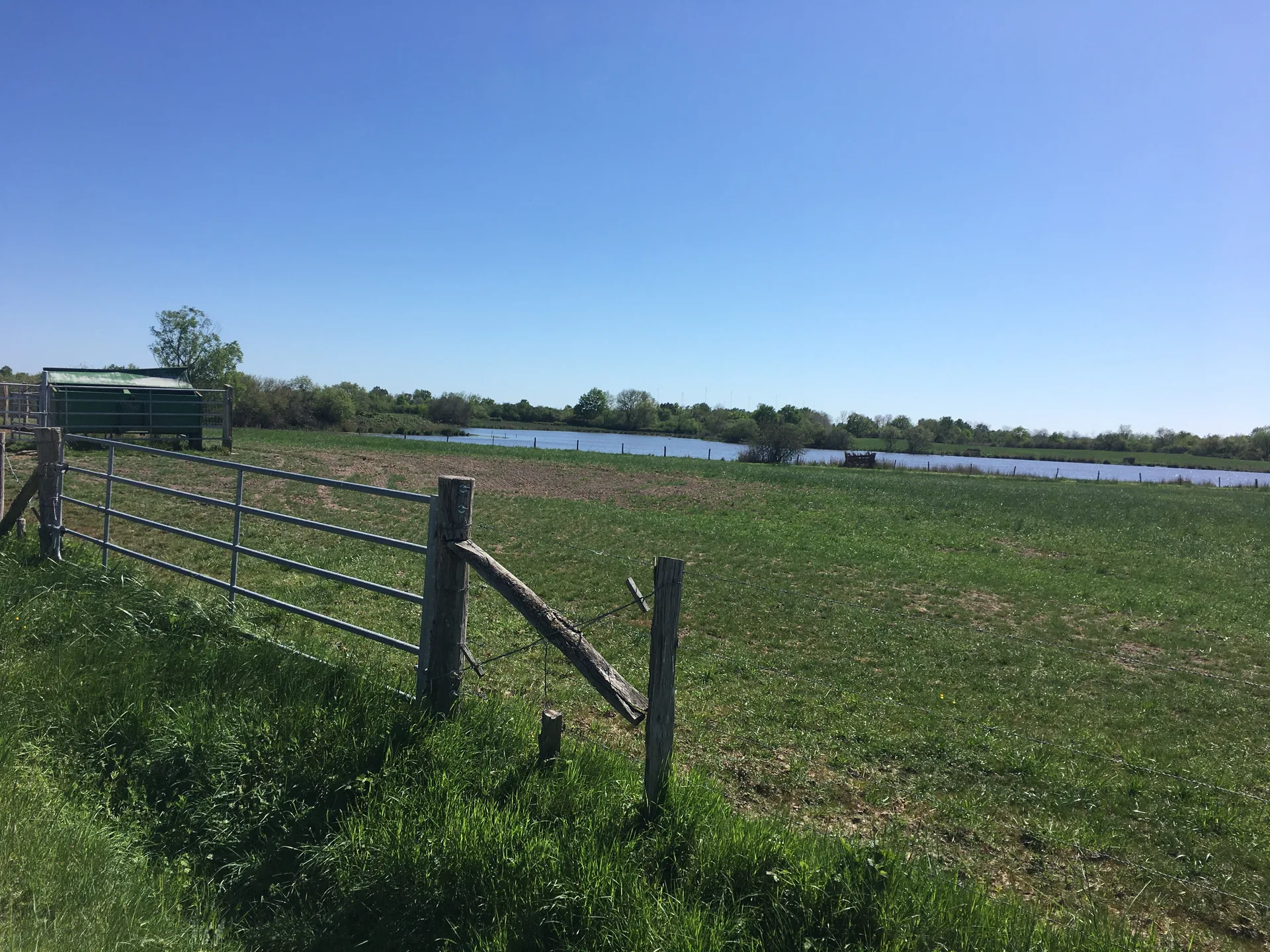 Etang de Bernadoux à Mézières-en-Brenne — À 2,7 km du lac