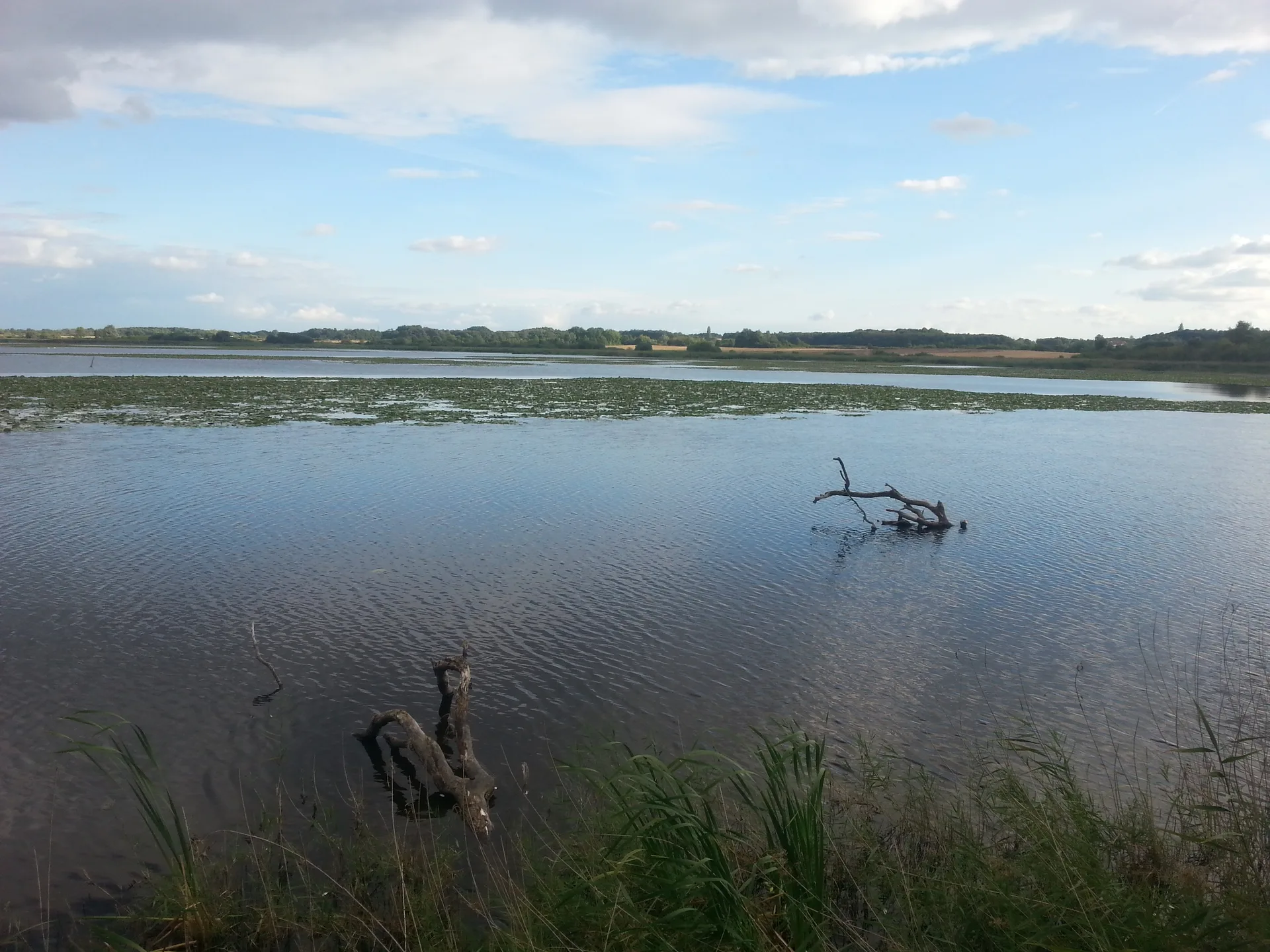 Etang de Bernadoux à Mézières-en-Brenne — À 3,9 km du lac