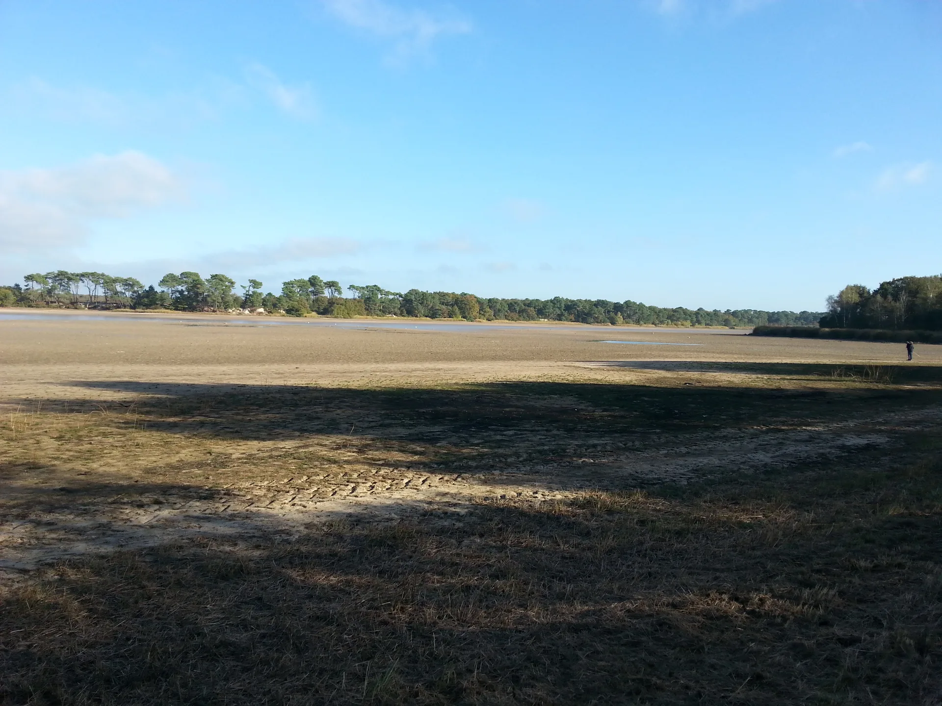 Etang de Bernadoux à Mézières-en-Brenne — À 4,6 km du lac
