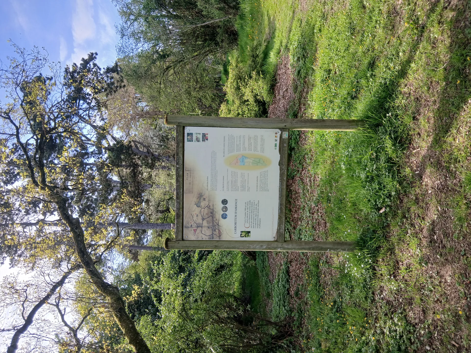 Etang de Brin à Brin-sur-Seille — À 3,7 km du lac