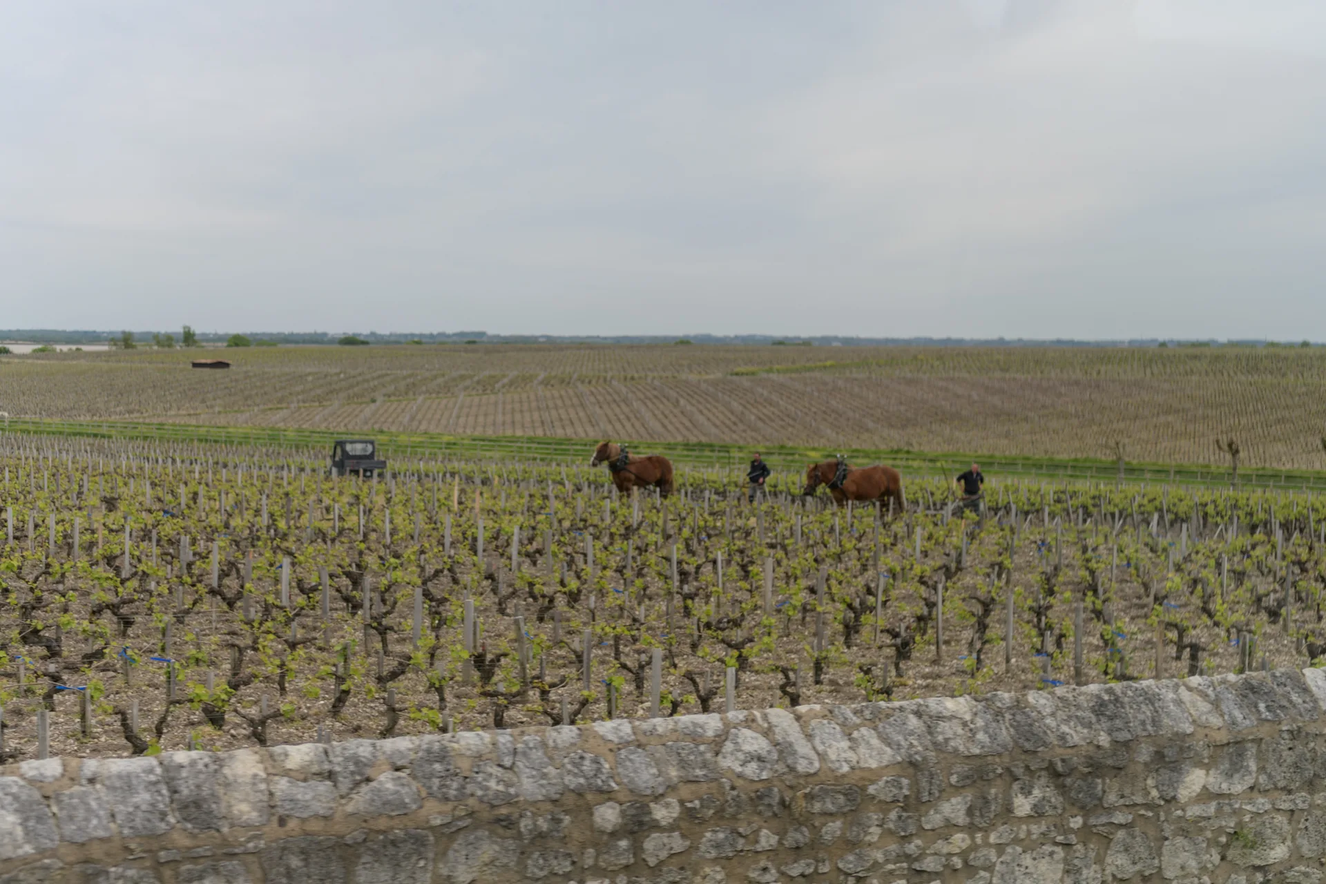 Etang de Cach à Pauillac — À 2,9 km du lac