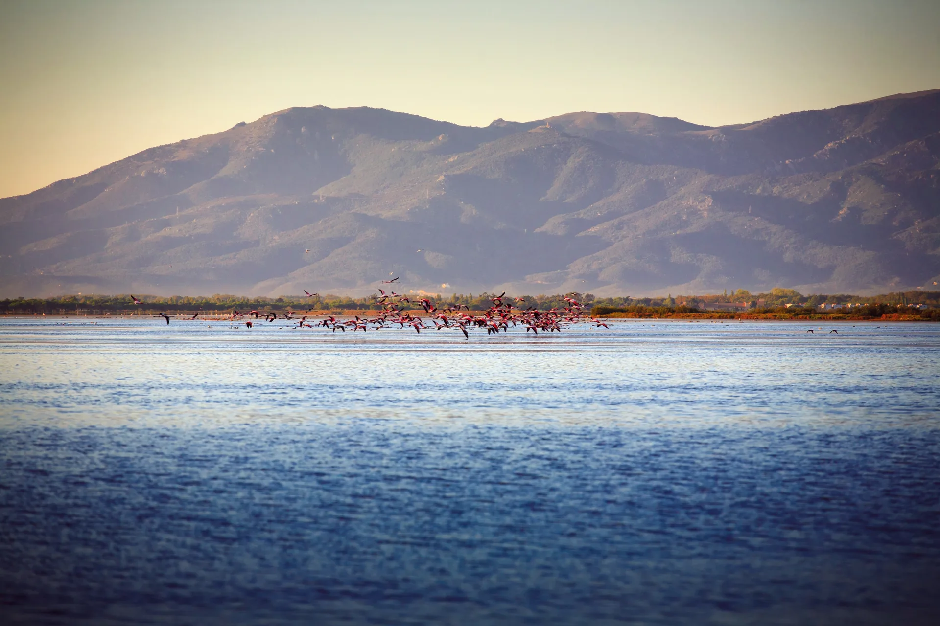 Étang de Canet à Canet-en-Roussillon — À 1,4 km du lac