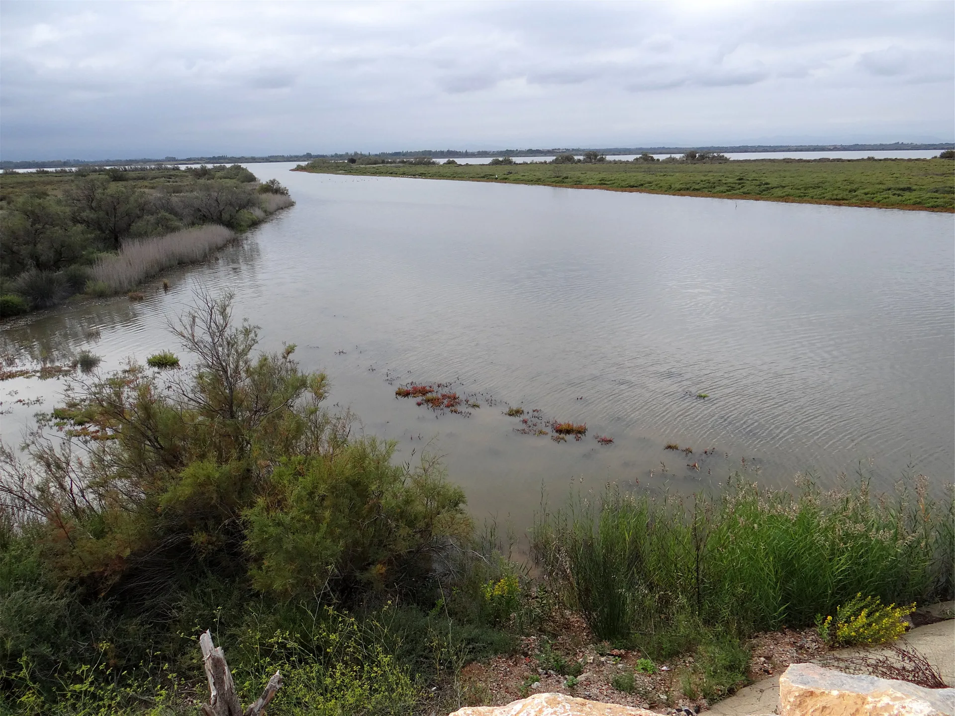 Étang de Canet à Canet-en-Roussillon — À 1,5 km du lac