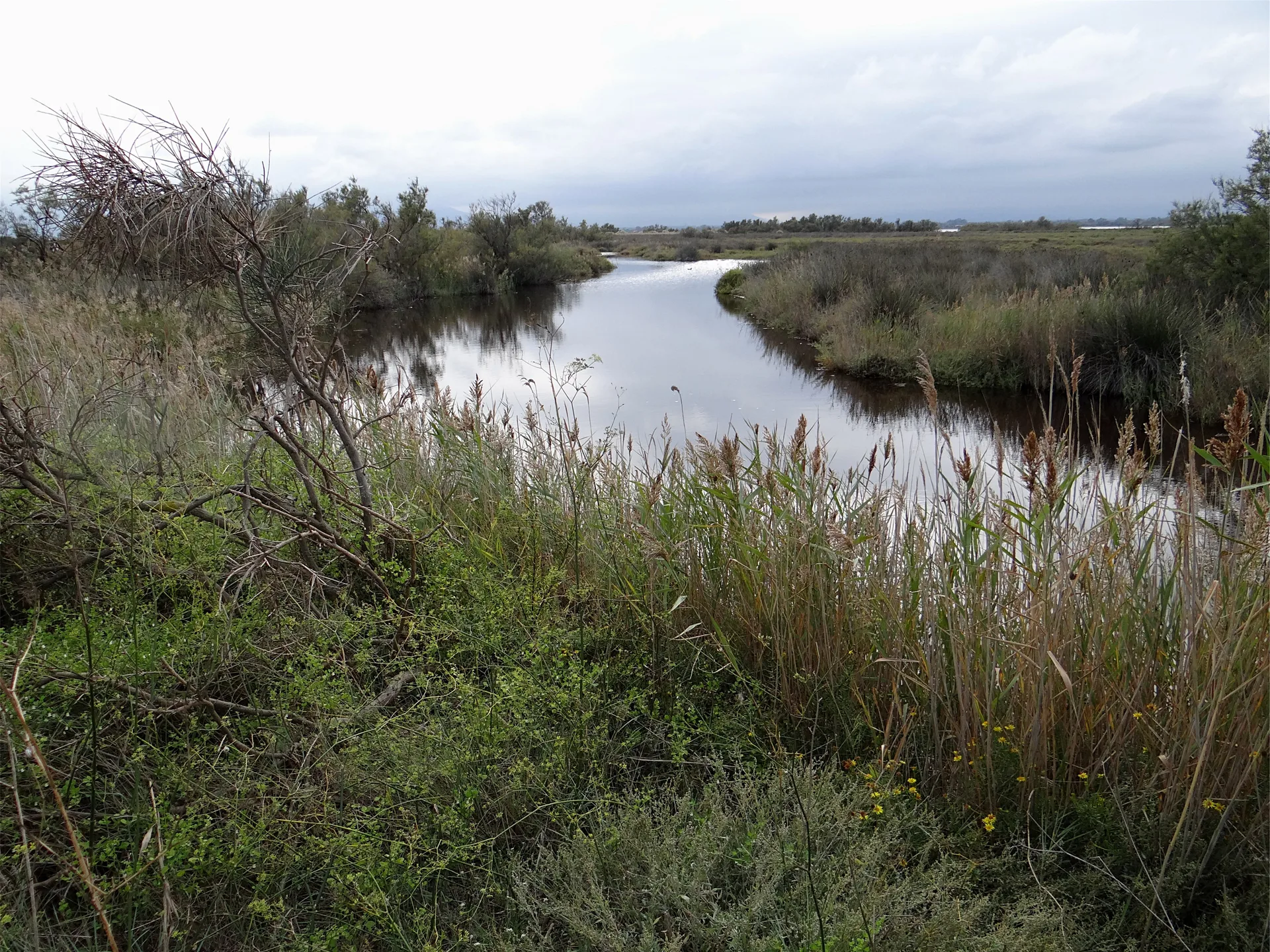 Étang de Canet à Canet-en-Roussillon — À 1,5 km du lac