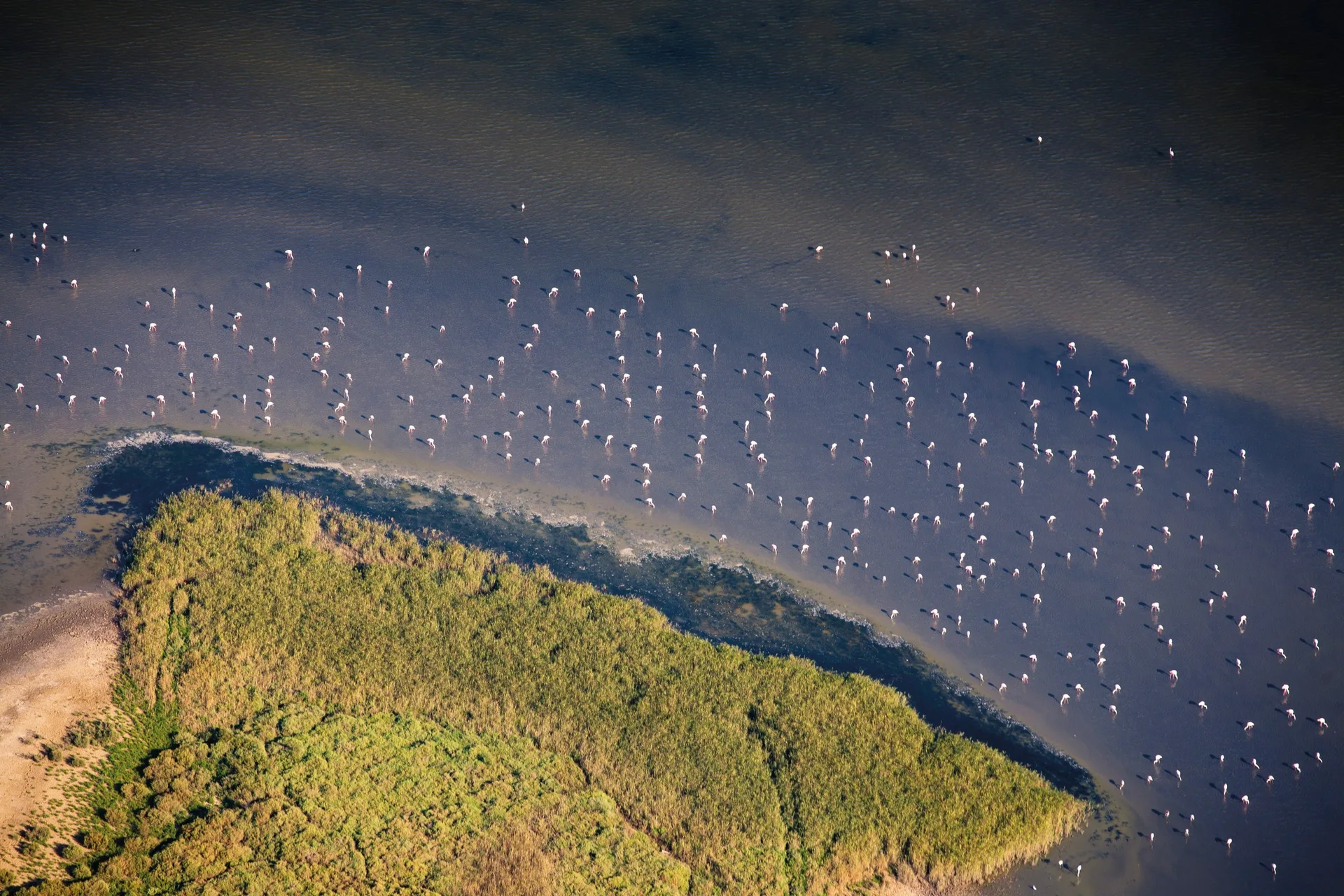 Étang de Canet à Canet-en-Roussillon — À 1,7 km du lac
