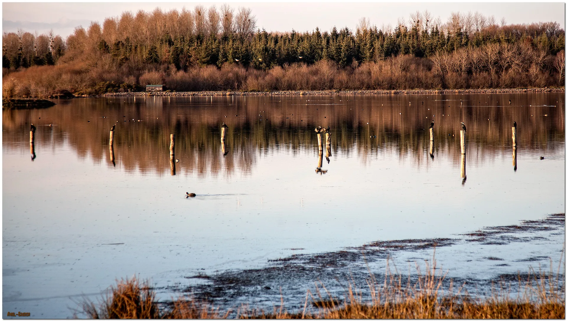 Étang de Careil à Iffendic — À 228 m du lac