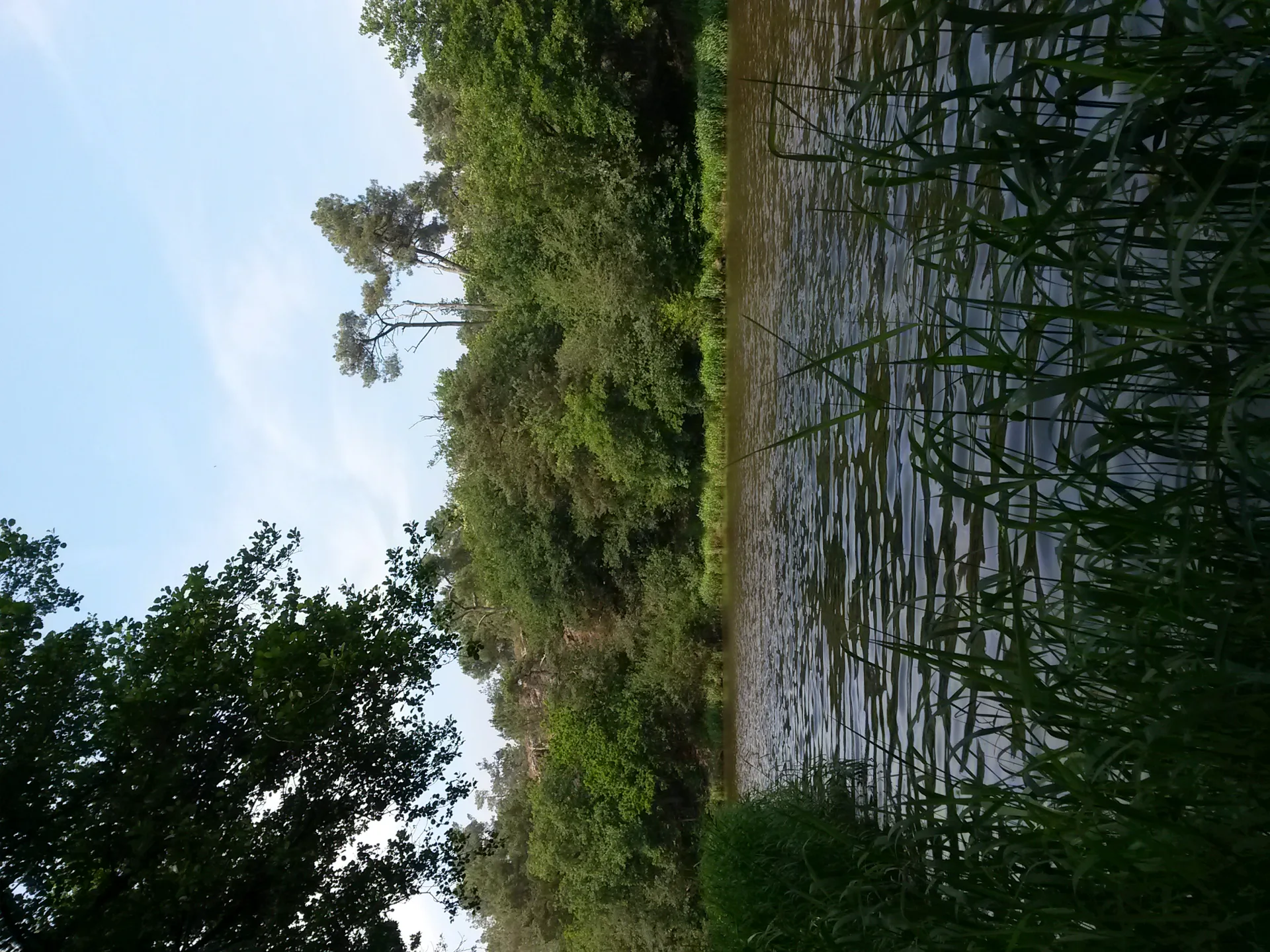 Étang de Careil à Iffendic — À 2,6 km du lac
