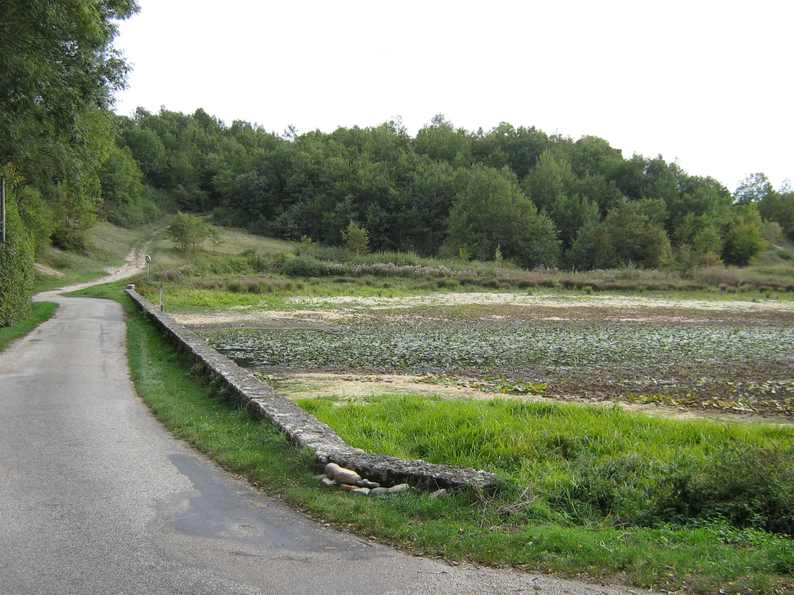 Etang de Carissieu à Siccieu-Saint-Julien-et-Carisieu — À 2,0 km du lac
