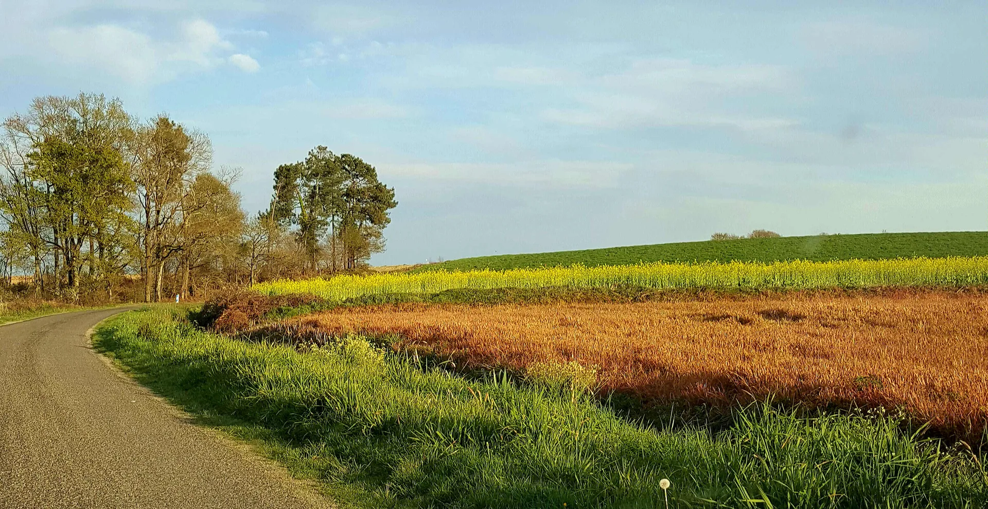 Etang de Cazalis à Cazalis — À 1,8 km du lac