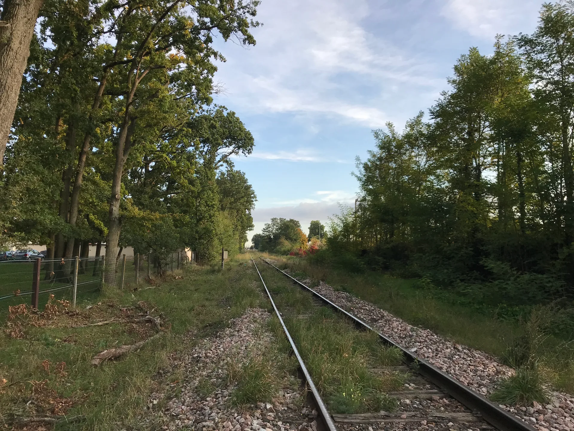 Etang de Cepoy à Cepoy — À 2,3 km du lac