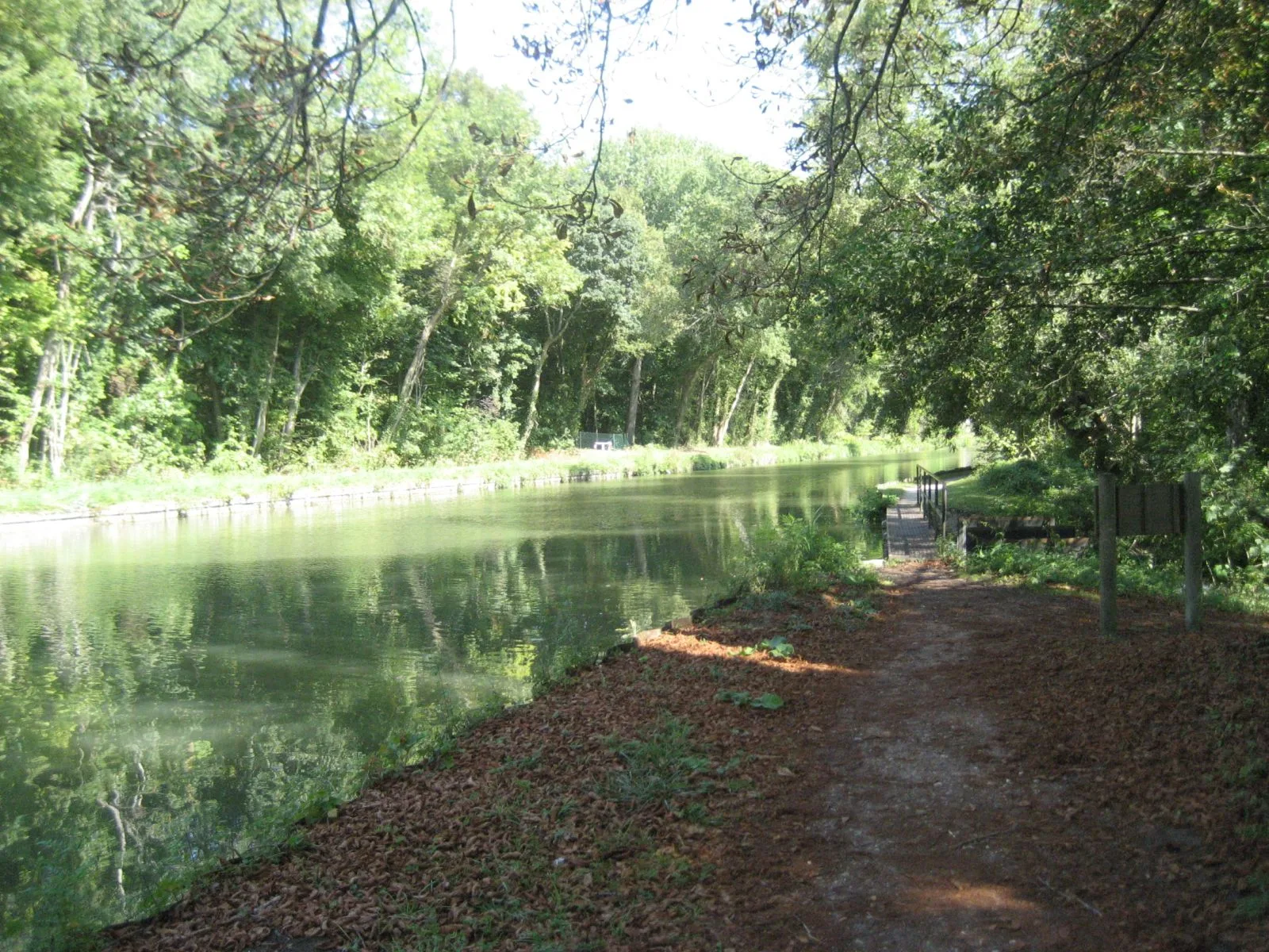 Etang de Cepoy à Cepoy — À 2,6 km du lac