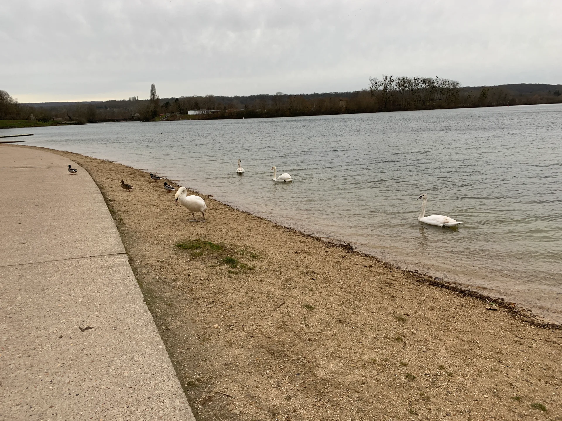 Etang de Cergy à Cergy — À 211 m du lac