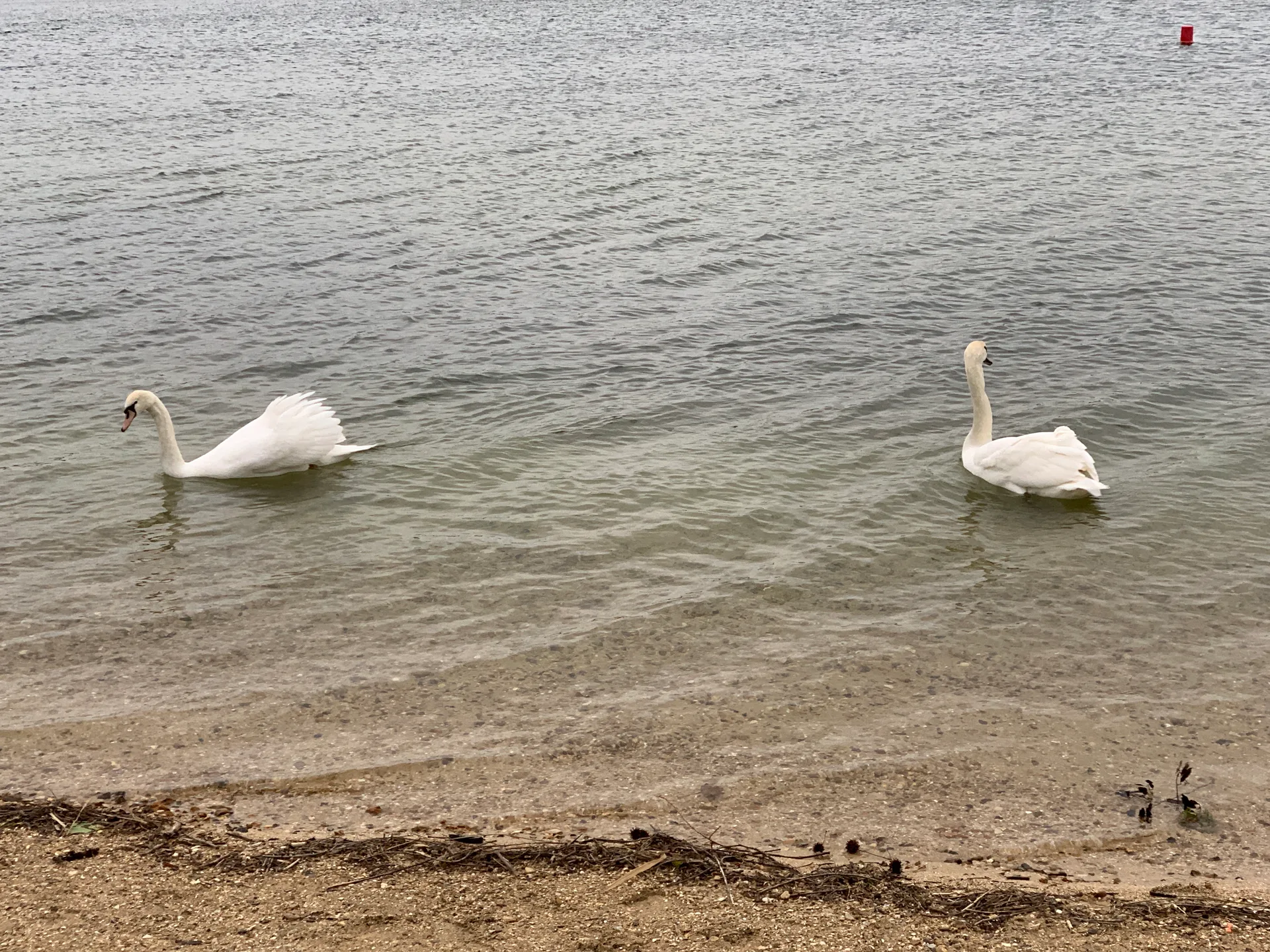 Etang de Cergy à Cergy — Sur le lac