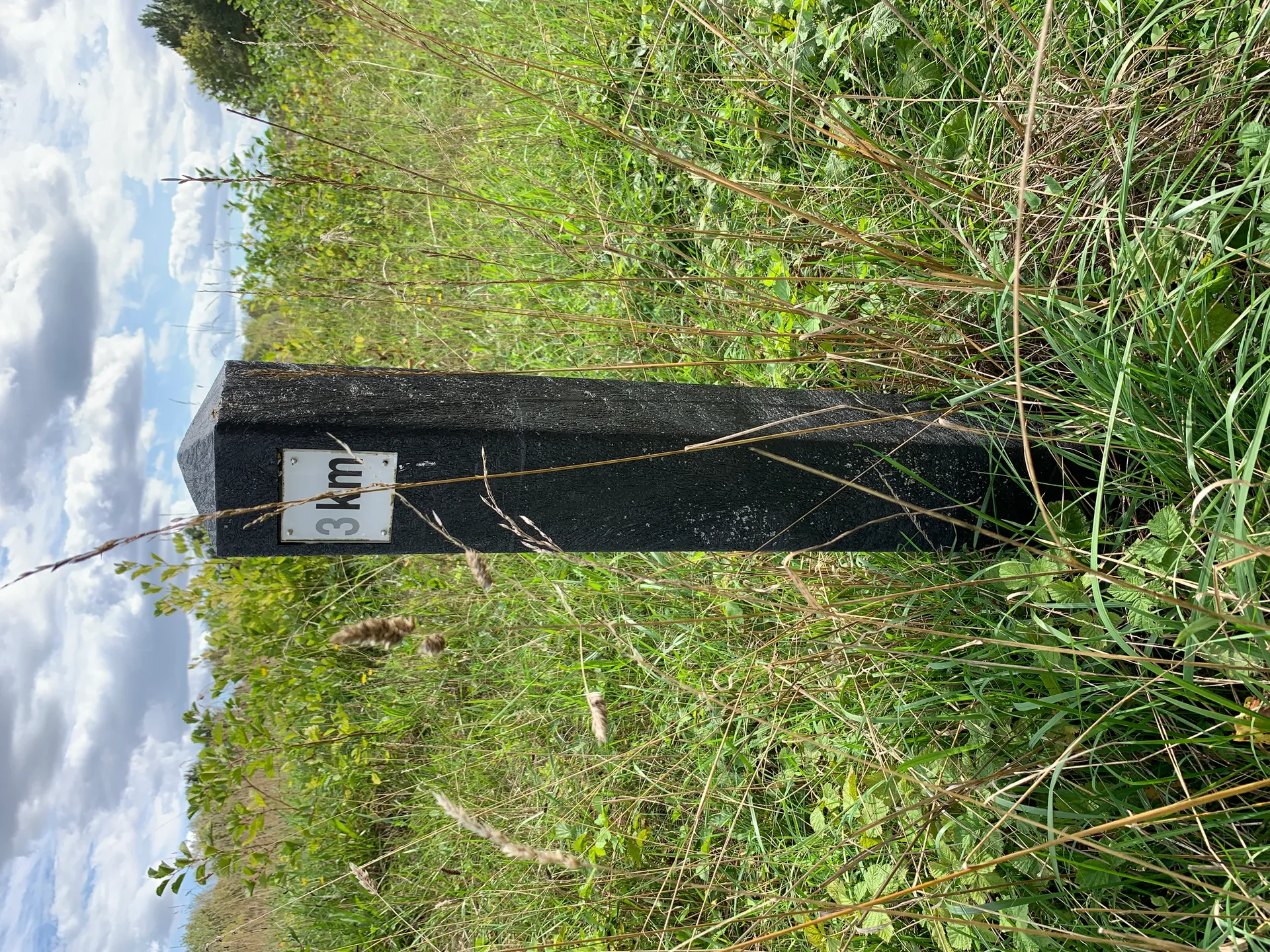 Etang de Cergy à Cergy — À 417 m du lac