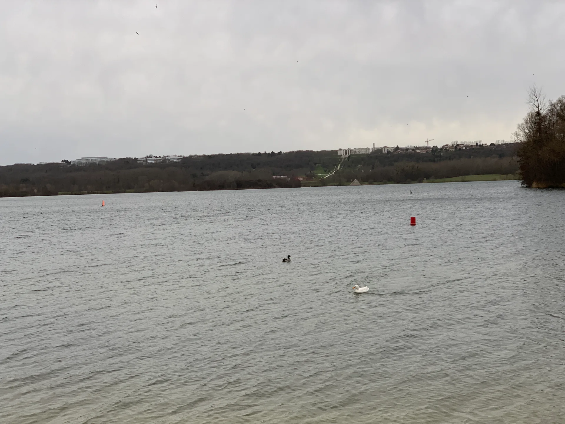Etang de Cergy à Cergy — Sur le lac