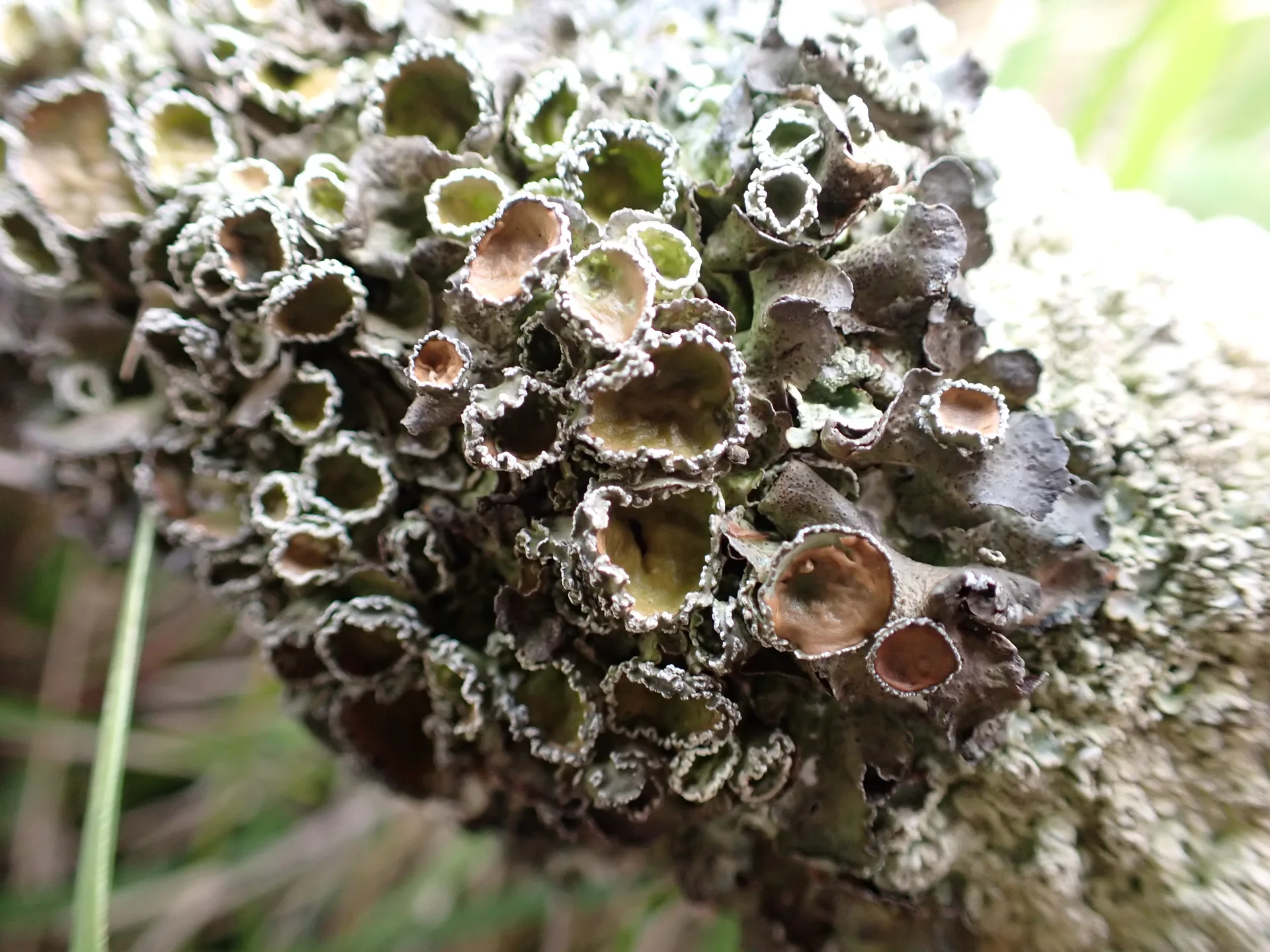 Etang de Charpont à Écluzelles — À 975 m du lac