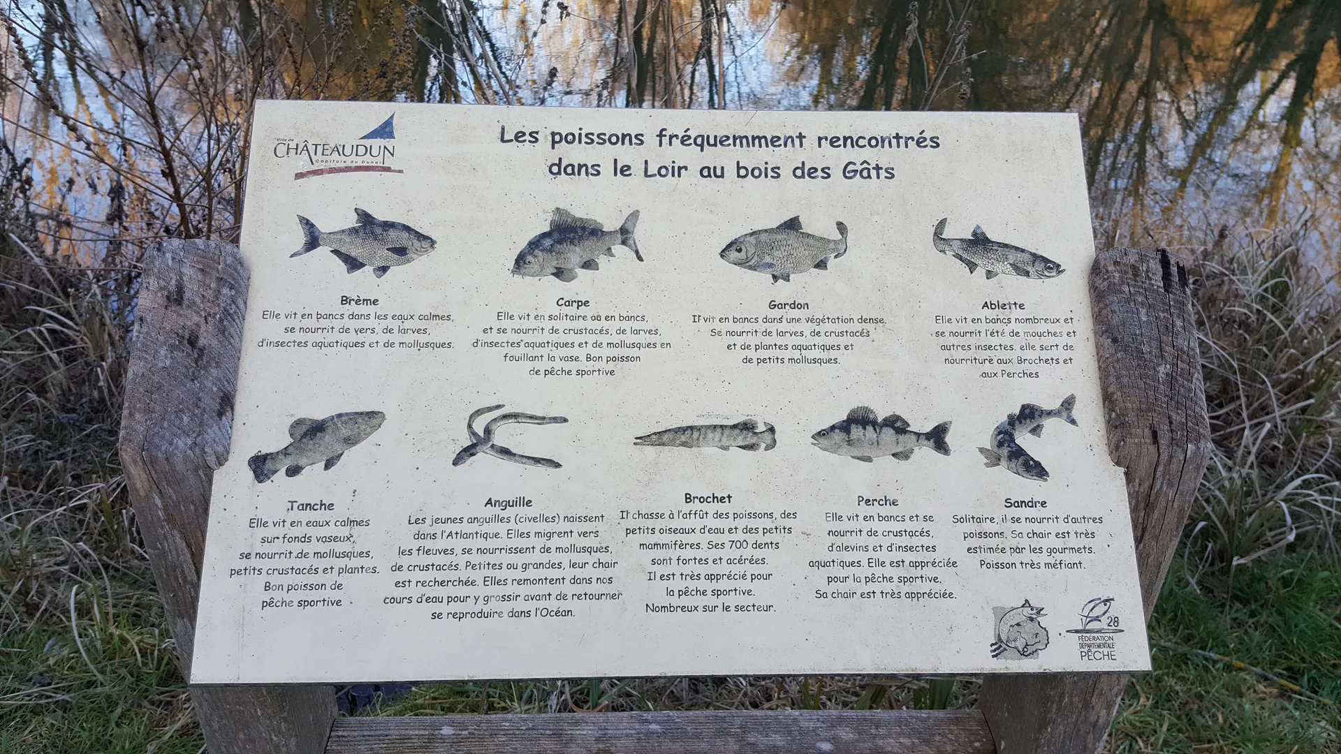 Etang de Chateaudun à Marboué — À 2,2 km du lac