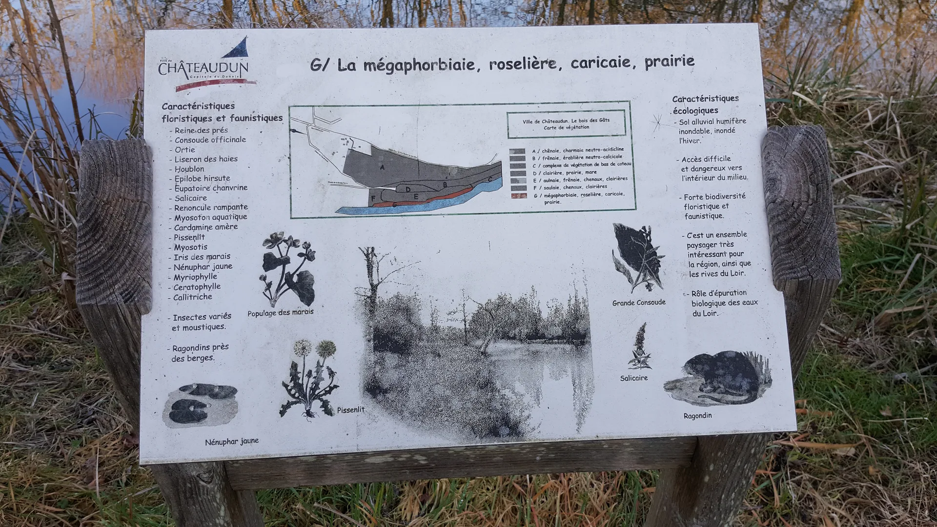 Etang de Chateaudun à Marboué — À 2,2 km du lac