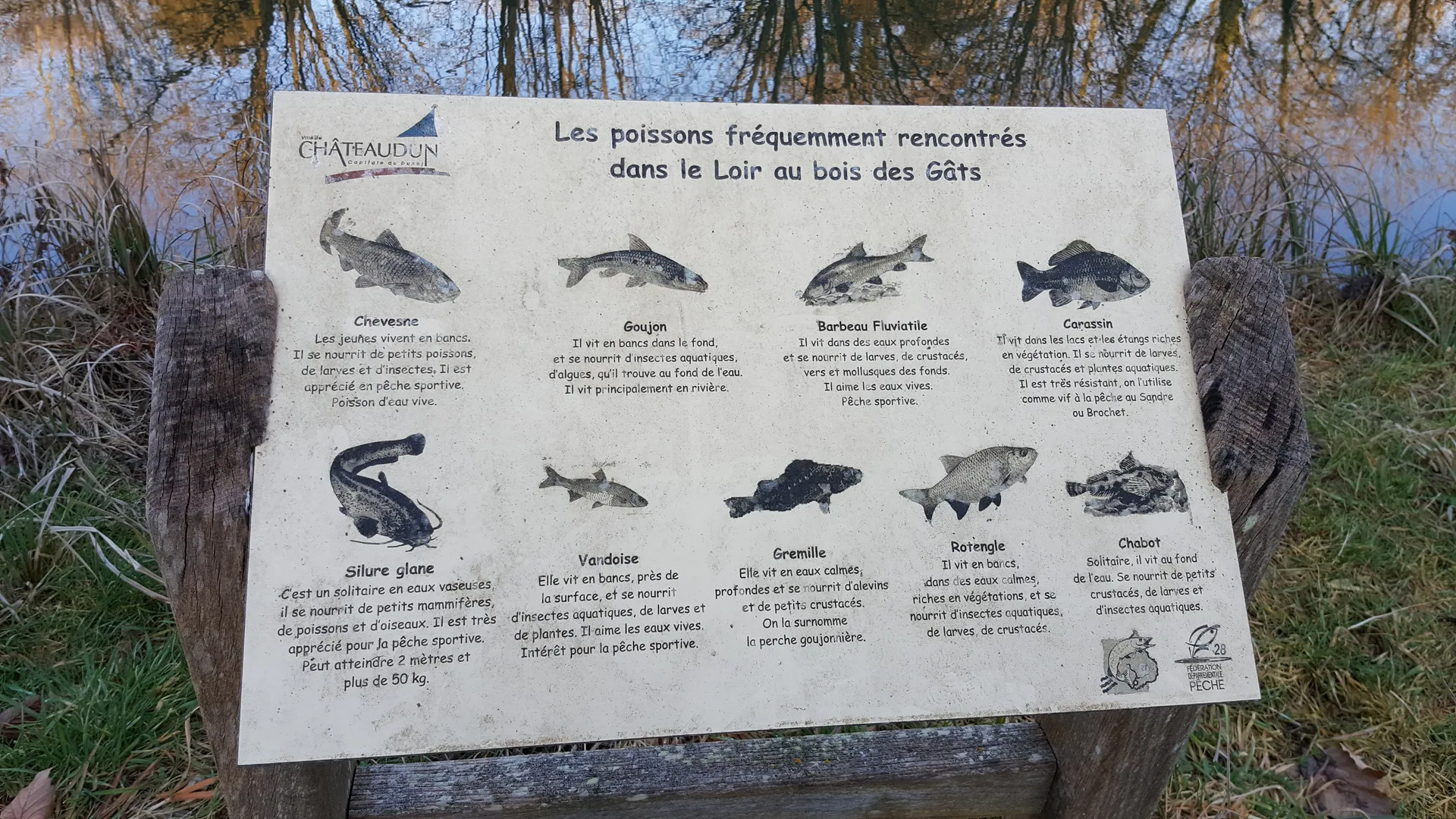 Etang de Chateaudun à Marboué — À 2,2 km du lac