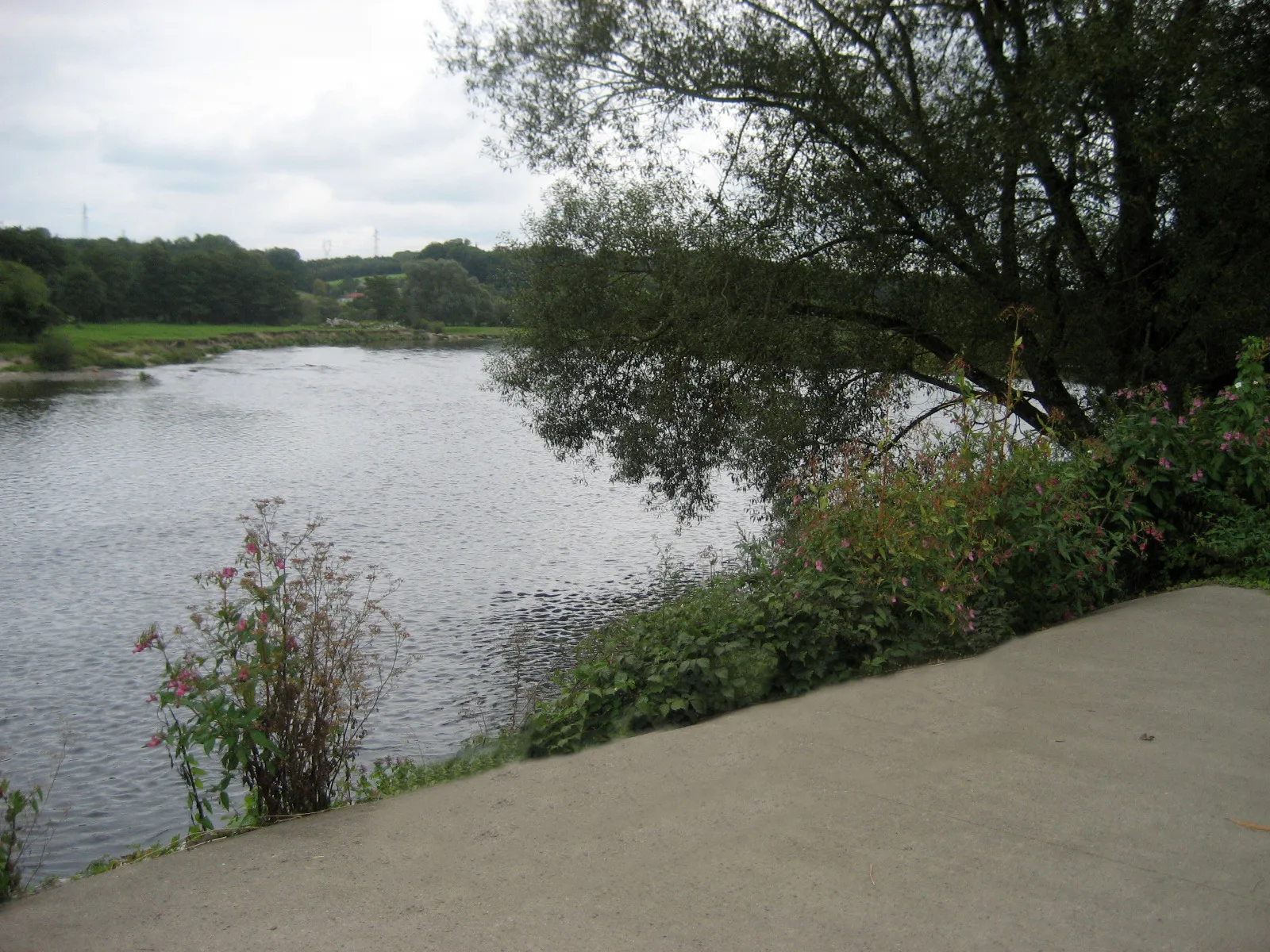Etang de Chatel sur Moselle à Châtel-sur-Moselle — À 3,6 km du lac