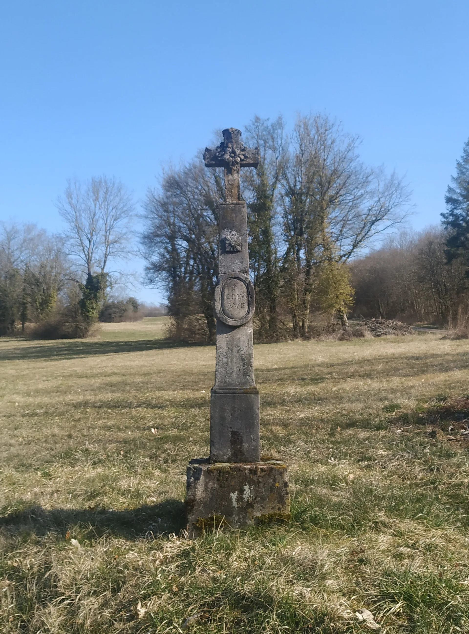 Etang de Chatel sur Moselle à Châtel-sur-Moselle — À 1,8 km du lac